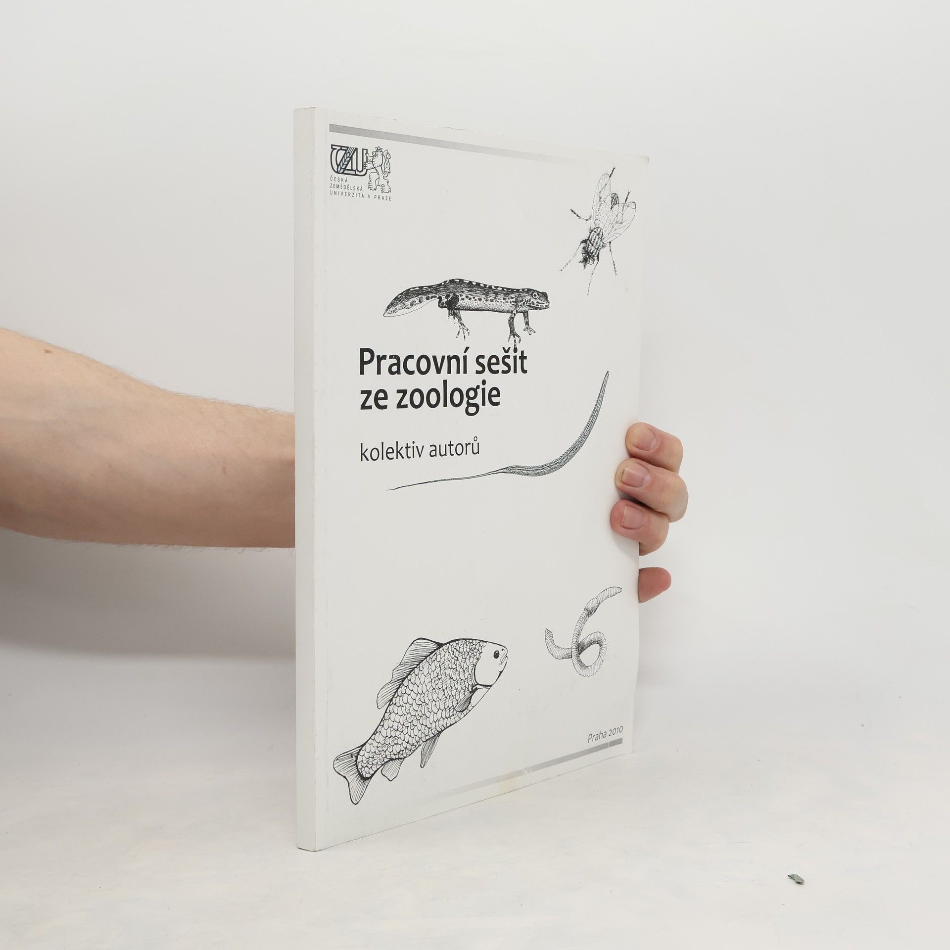 kolektiv Pracovní sešit ze zoologie
