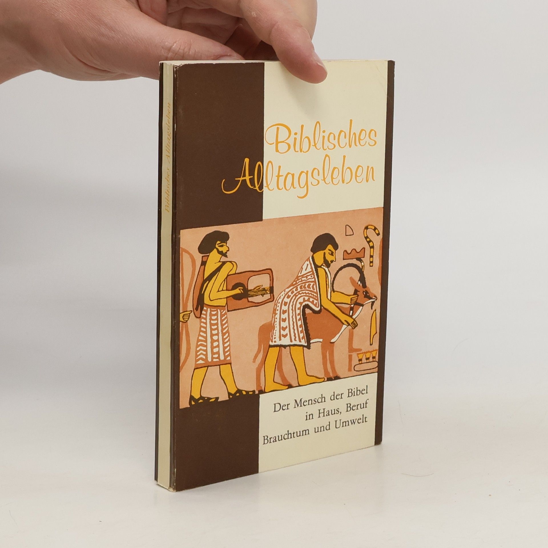 kolektiv Biblisches Alltagsleben. Der Mensch der Bibel in Haus, Beruf, Brauchtum und Umwelt
