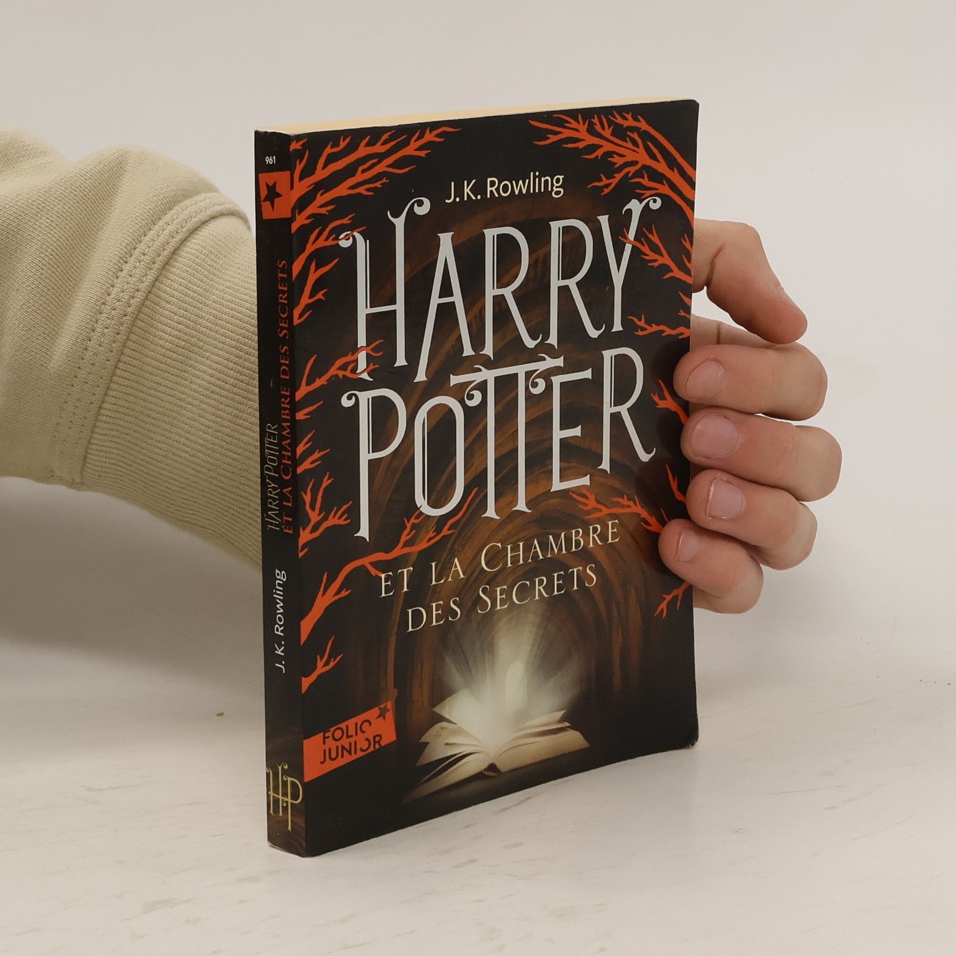 Joanne K. Rowlingová Harry Potter et la chambre des secrets