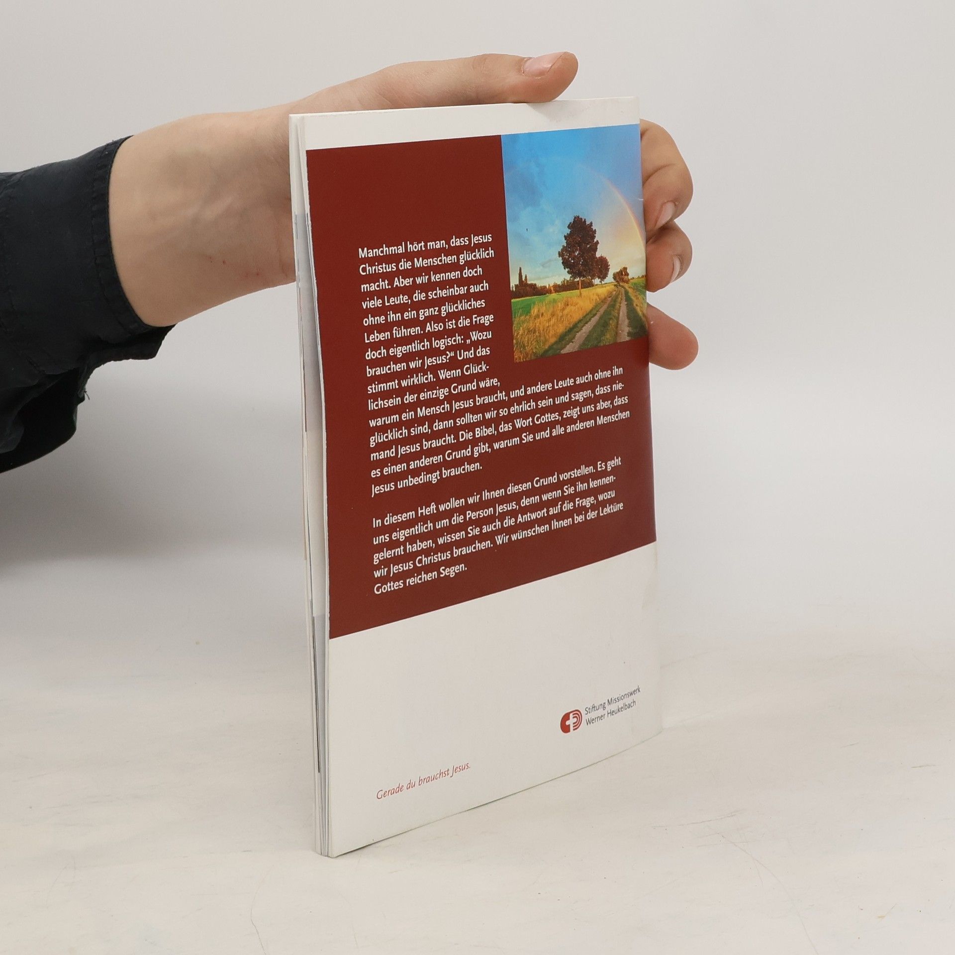 Autorenkollektiv Wozu brauchen wir Jesus?