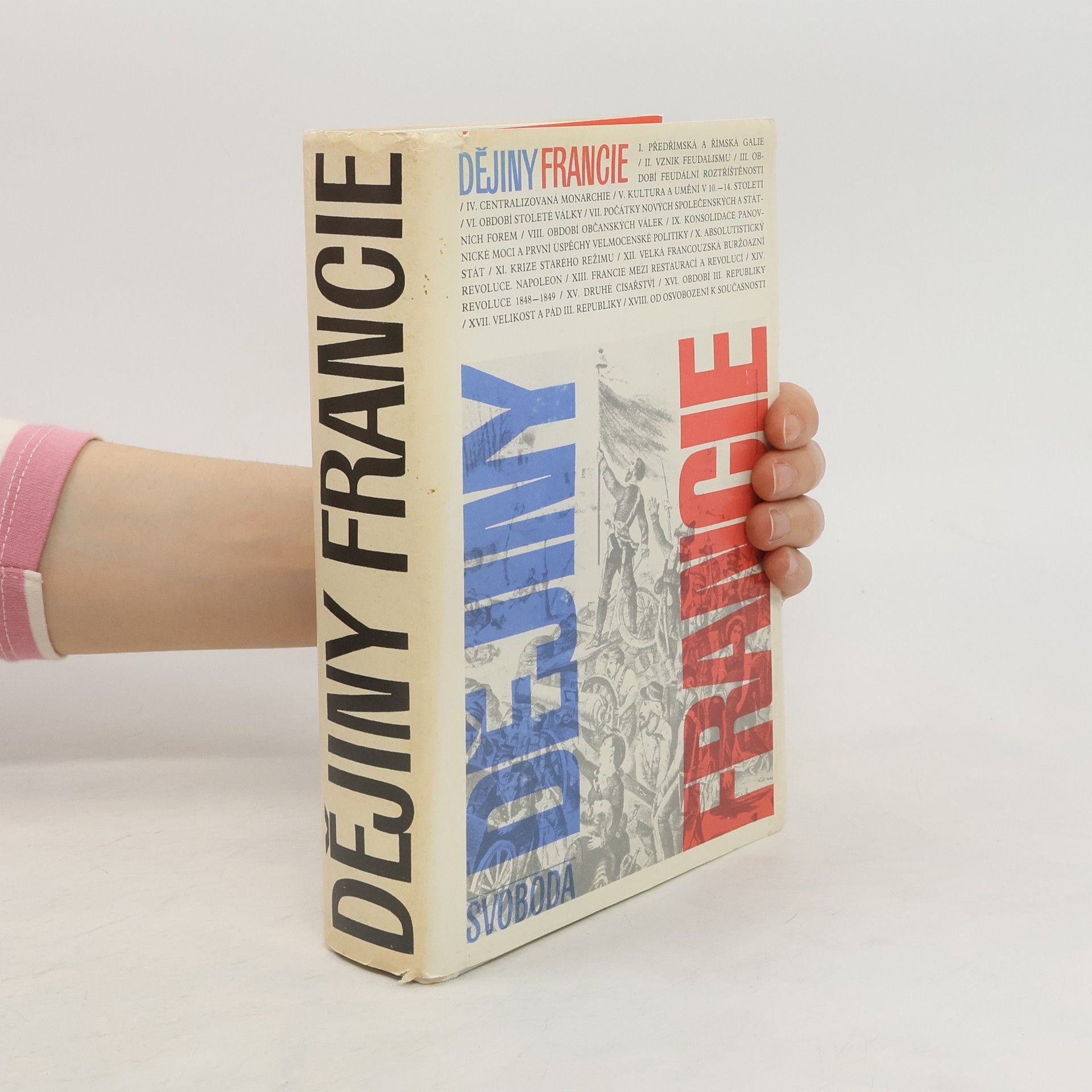Collectif d'auteurs Dějiny Francie