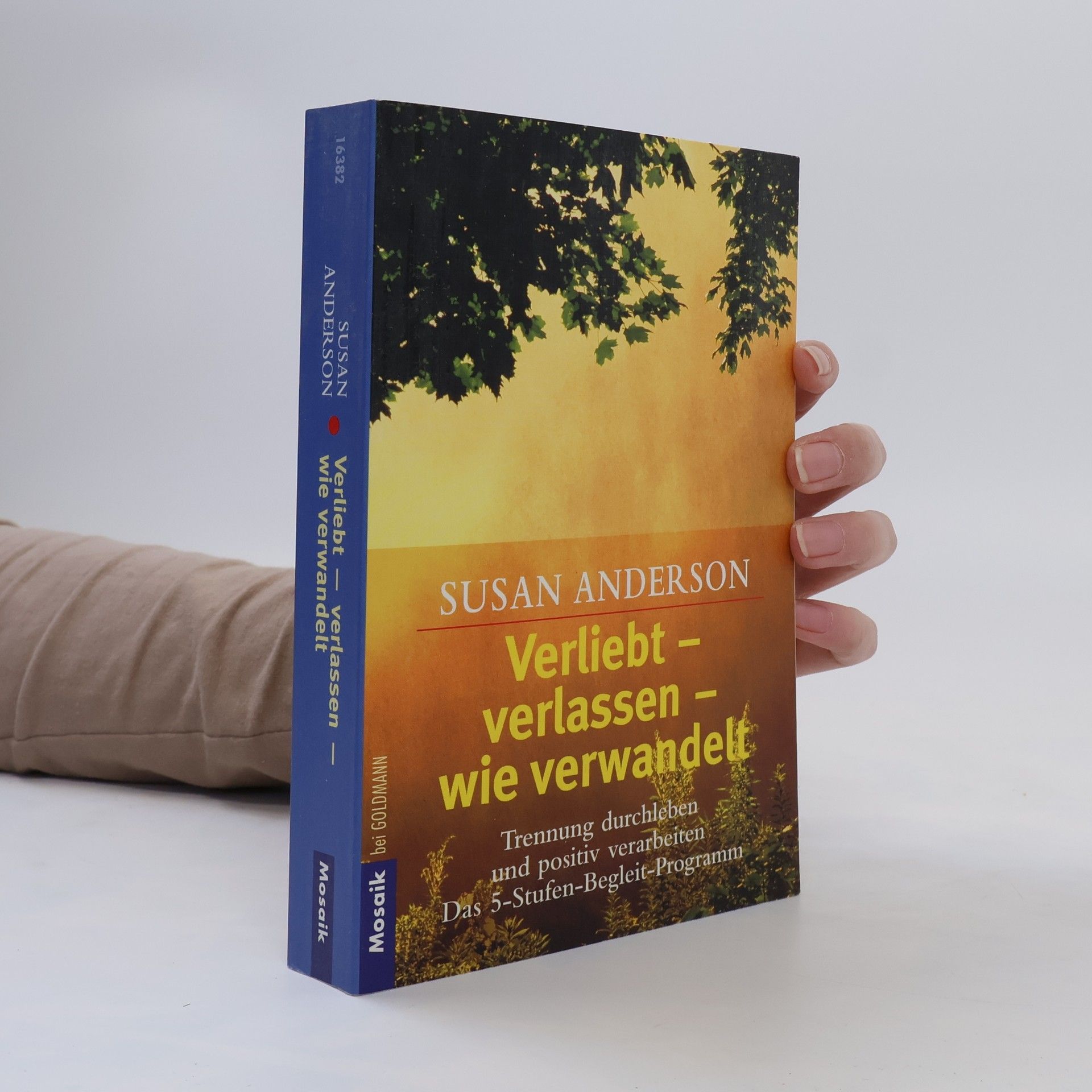 Susan Anderson-Freed Verliebt - verlassen - wie verwandelt