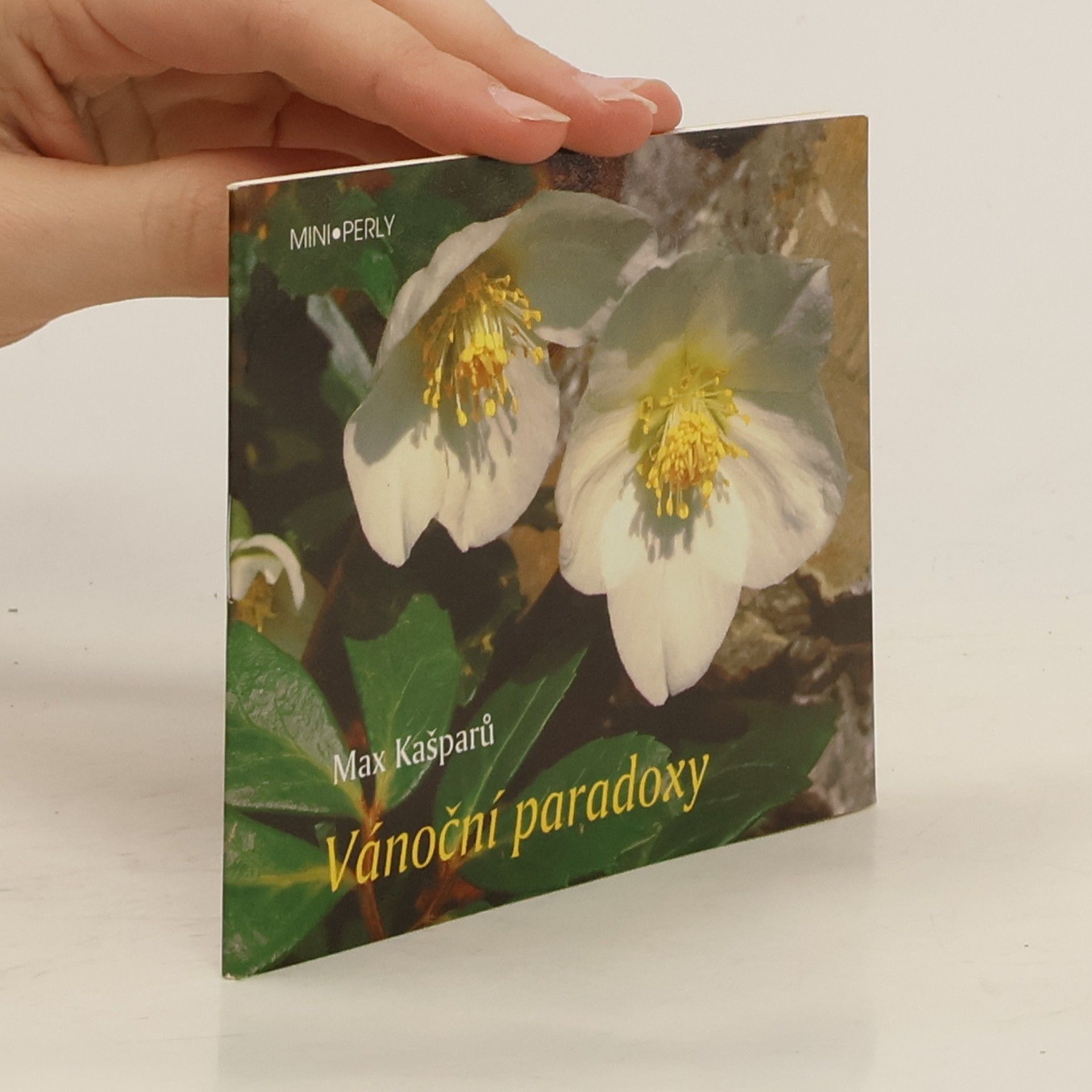 Max Kašparů Vánoční paradoxy