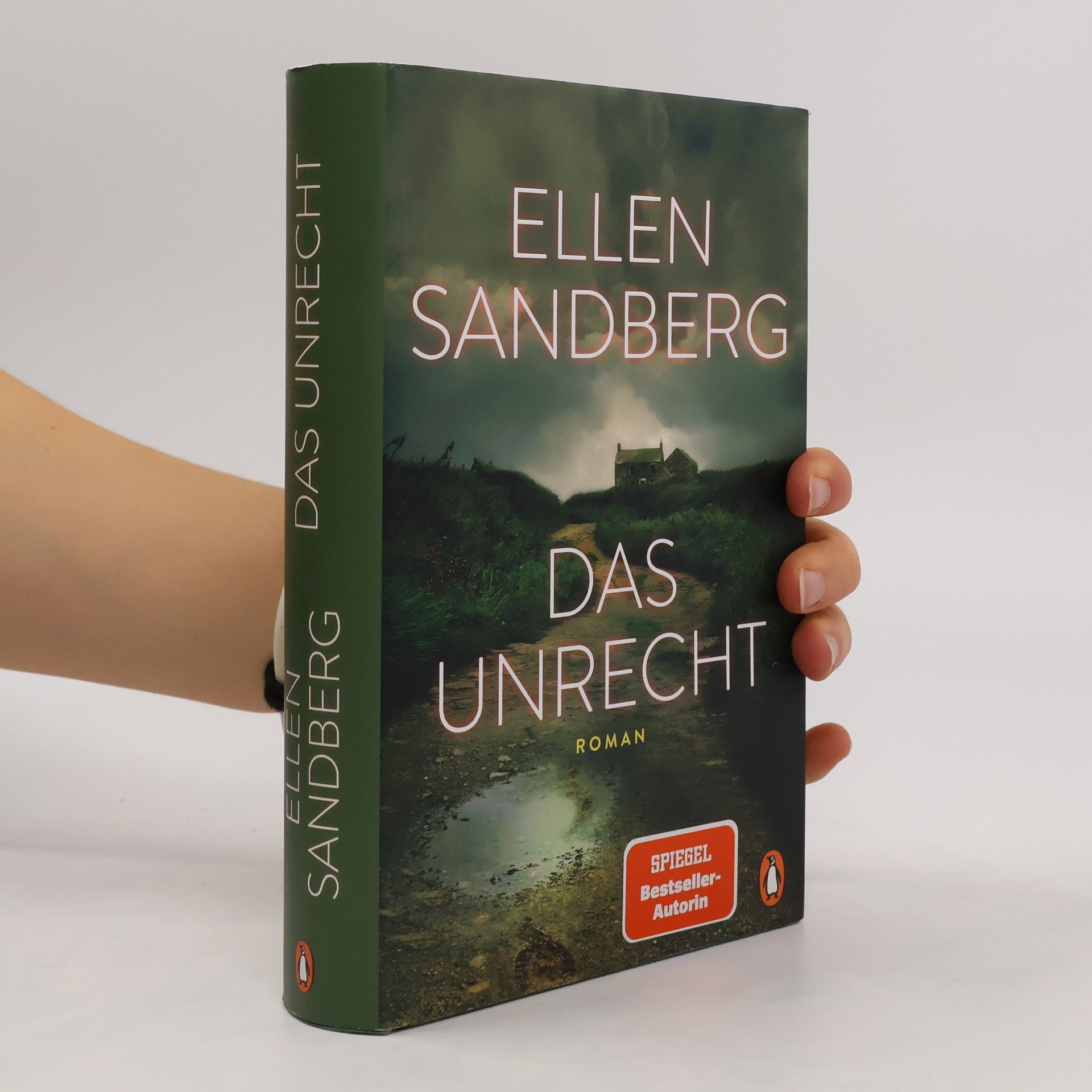Ellen Sandberg Das Unrecht