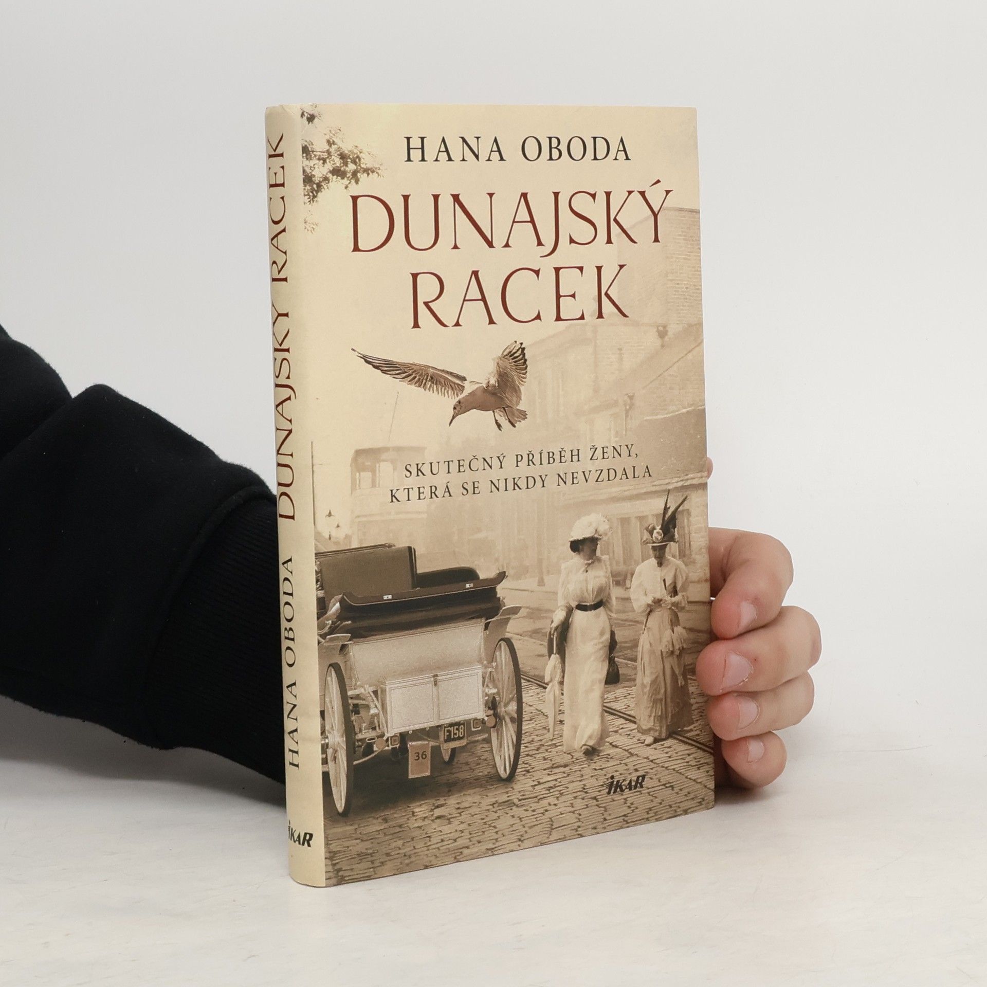 Hana Oboda Dunajský racek