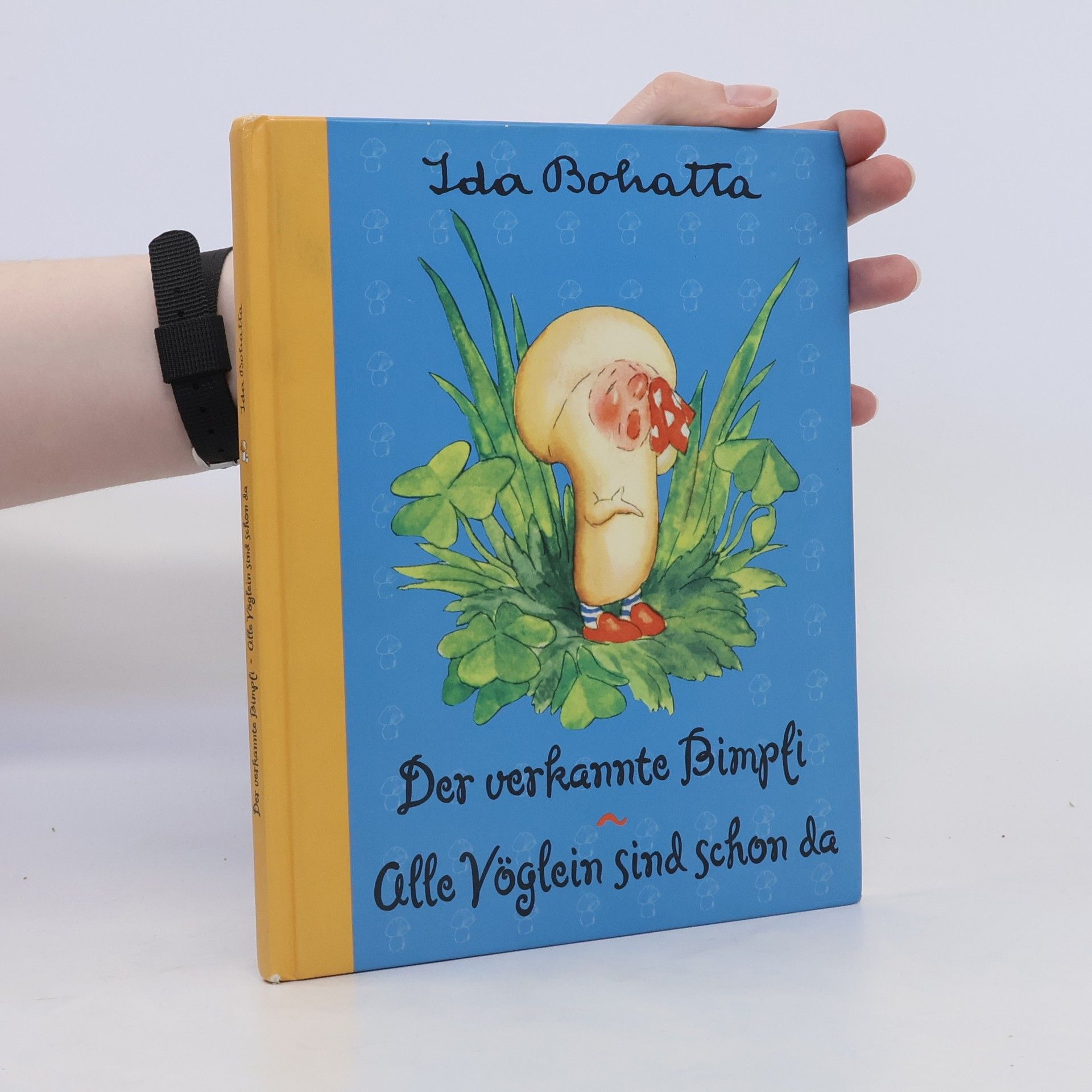 Ida Bohatta-Morpurgo Der verkannte Bimpfi. Alle Vöglein sind schon da