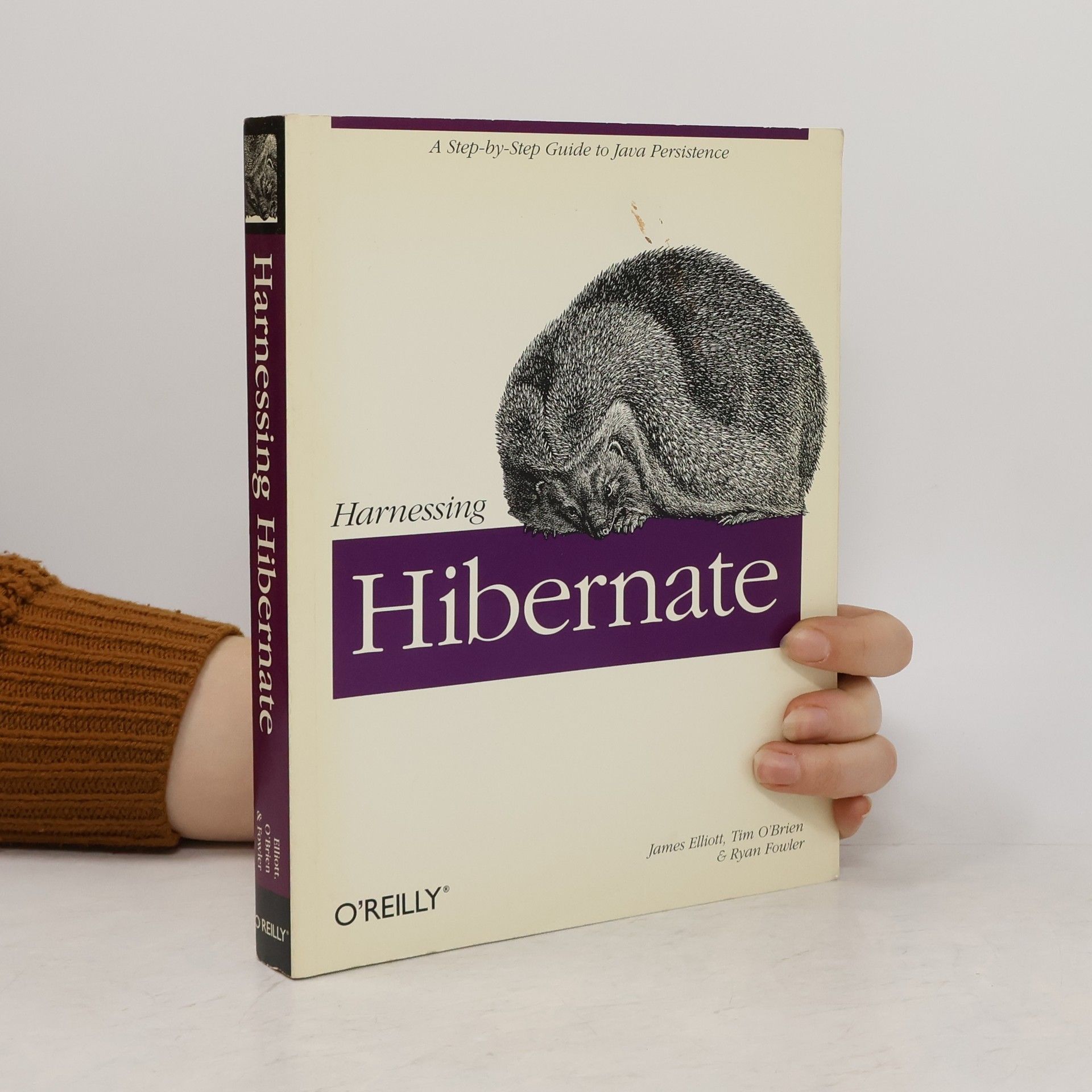 James Elliott Harnessing Hibernate