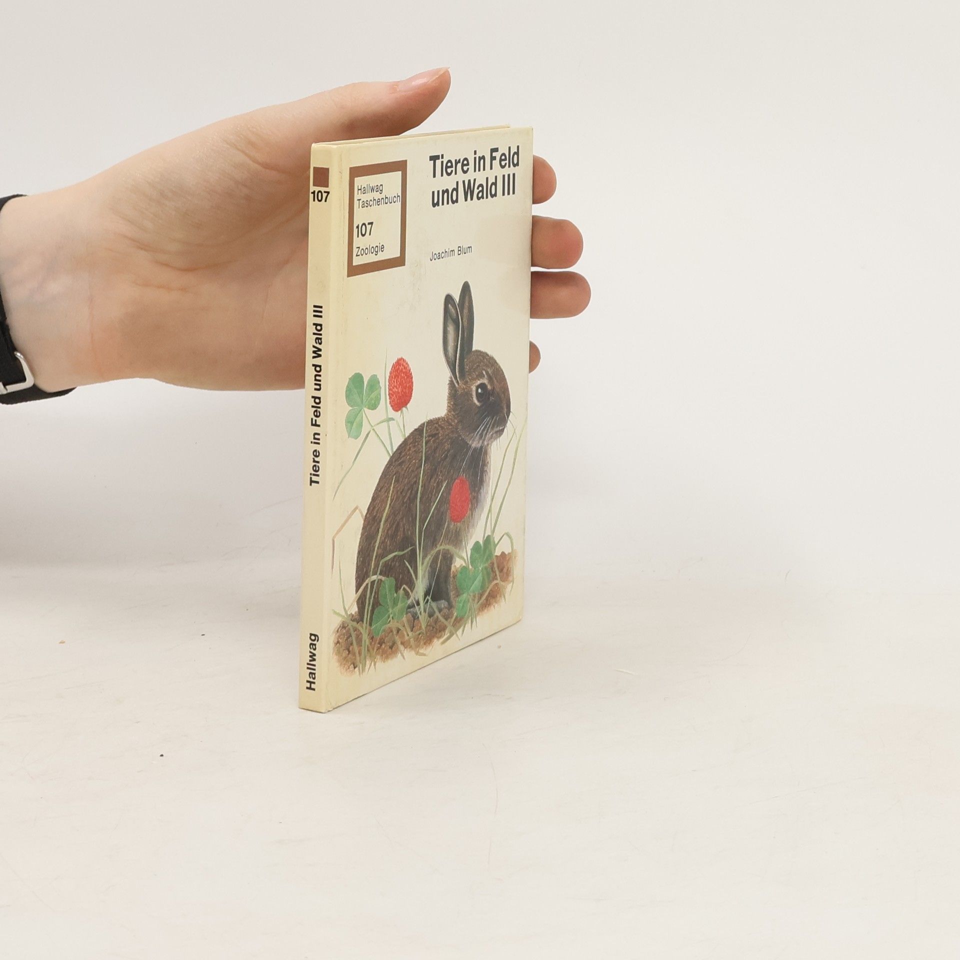 Autorenkollektiv Tiere in Feld und Wald