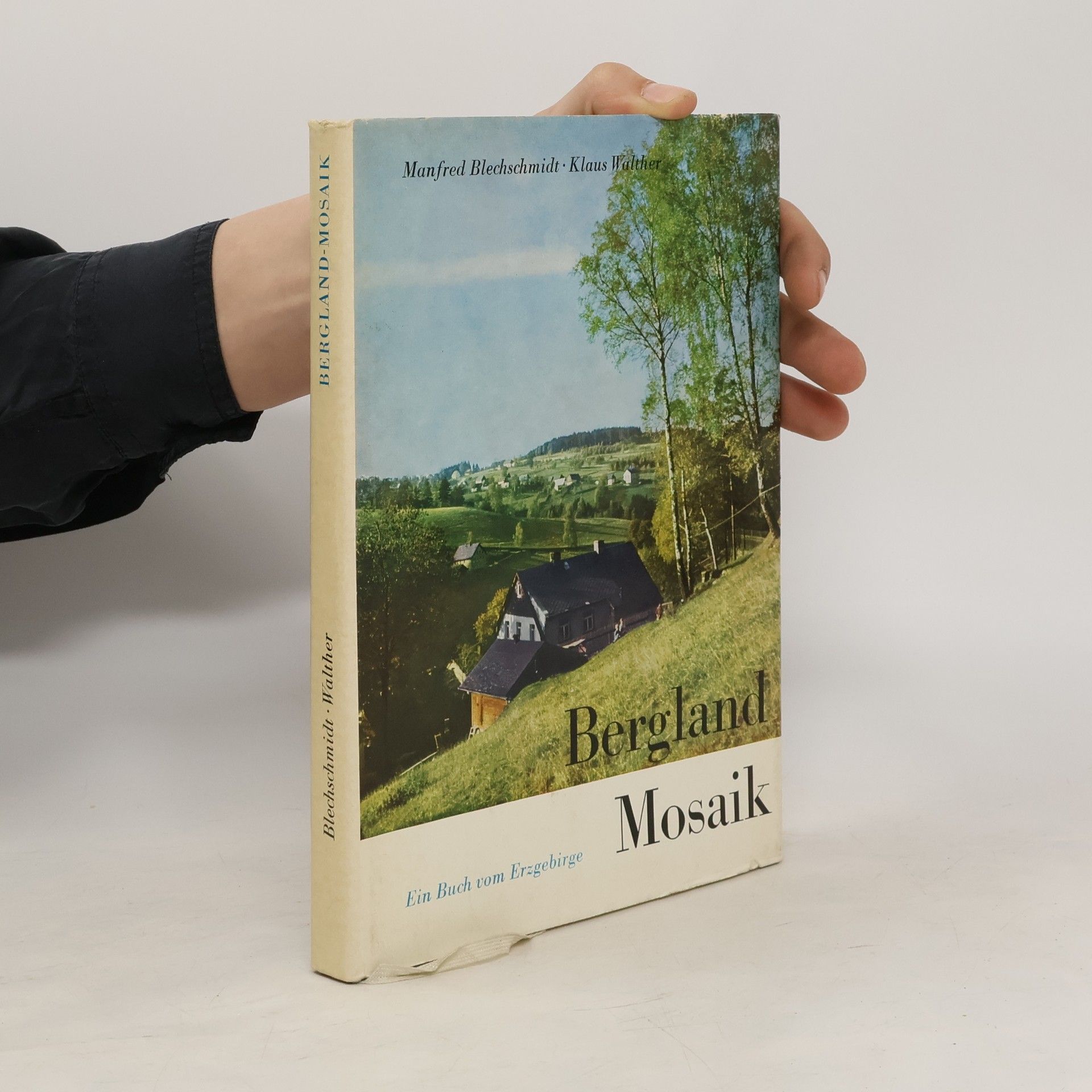Manfred Blechschmidt Bergland Mosaik