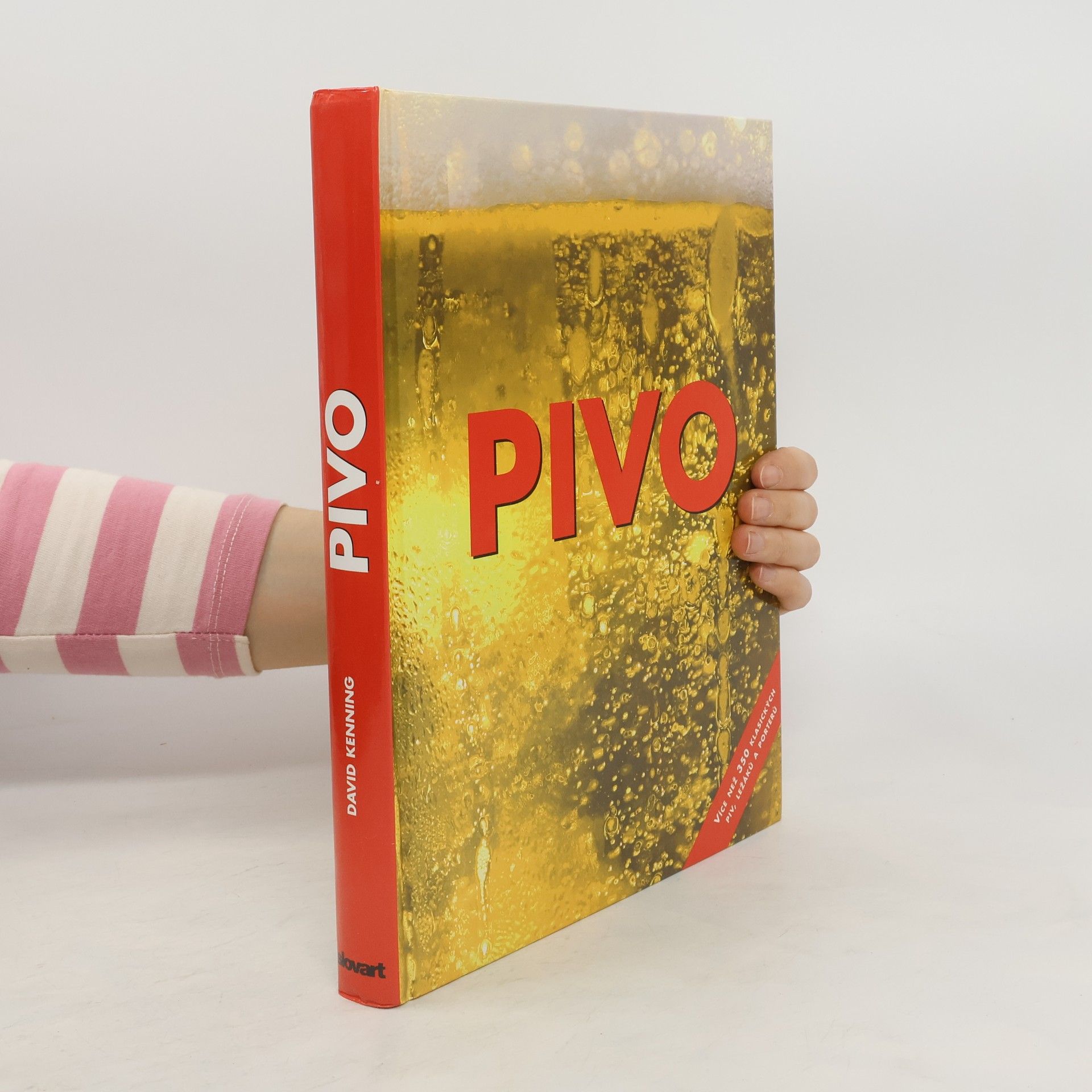 David Kenning Pivo: Více než 350 klasických piv, ležáků a porterů