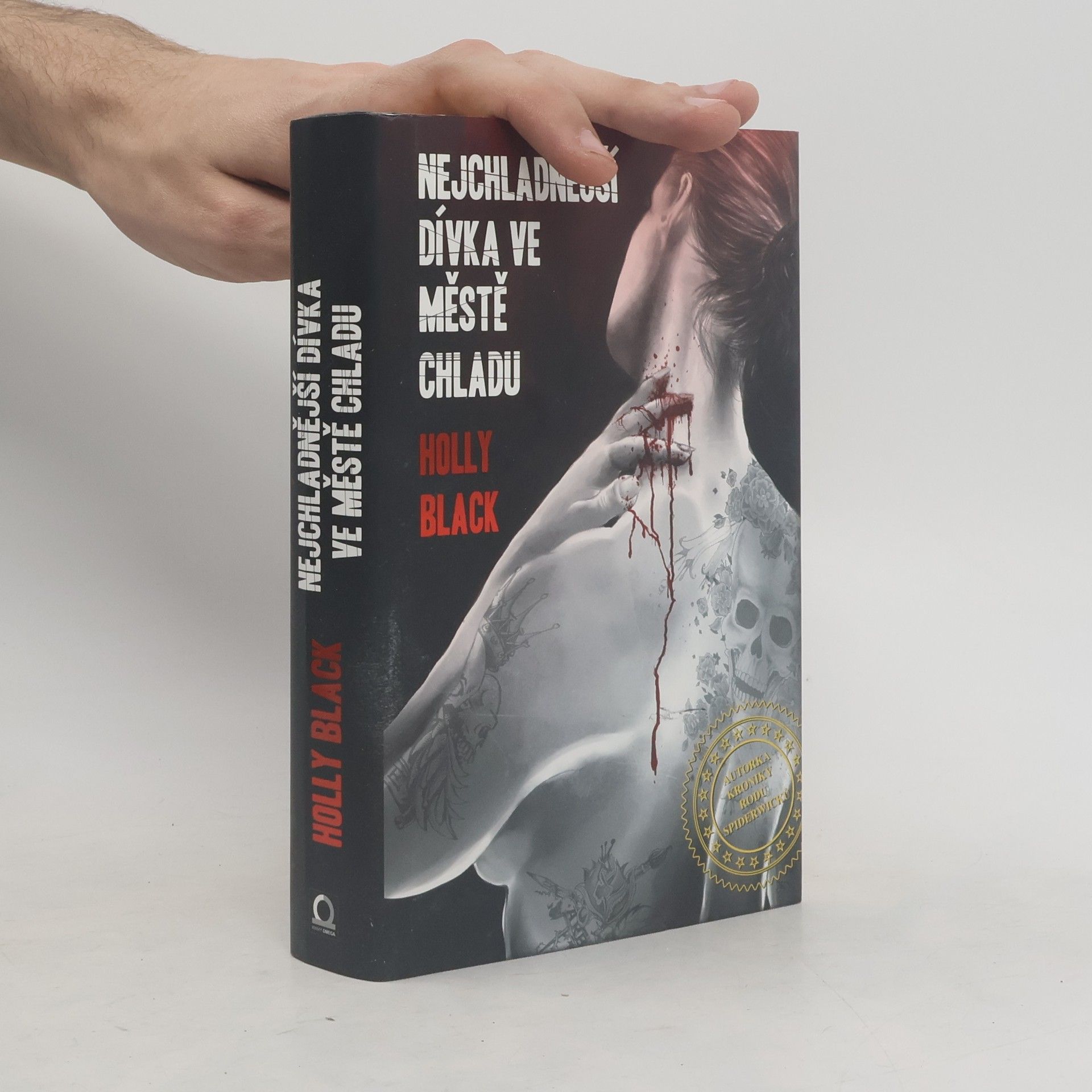 Holly Black Nejchladnější dívka ve městě Chladu