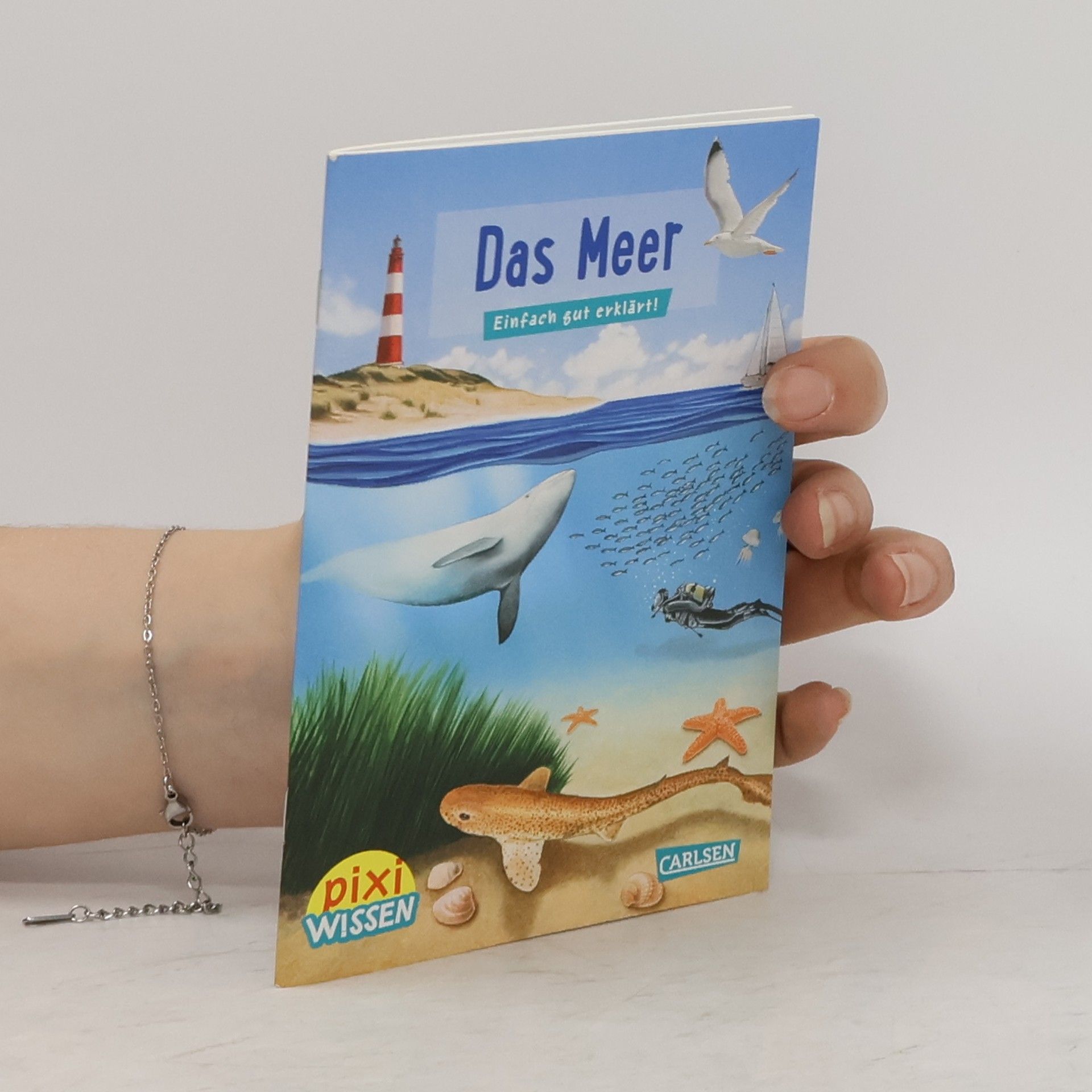 Brigitte Hoffmann Das Meer