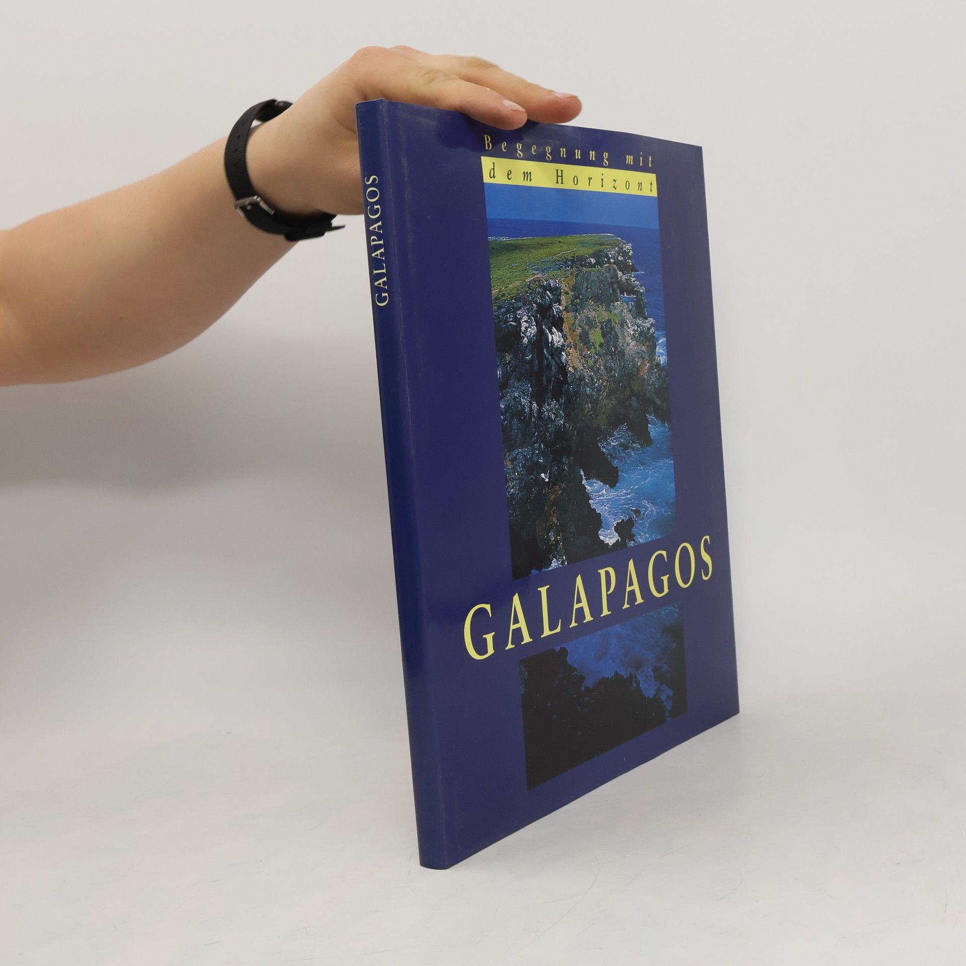 kolektiv Galapagos