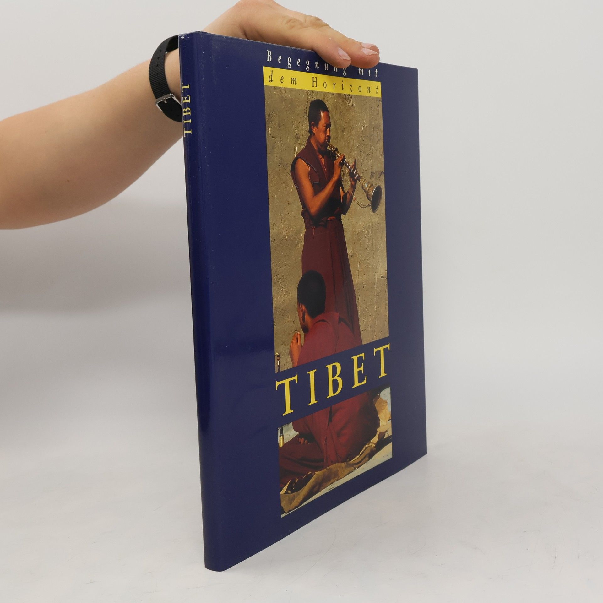 Collectif d'auteurs Begegnung mit dem Horizont: Tibet