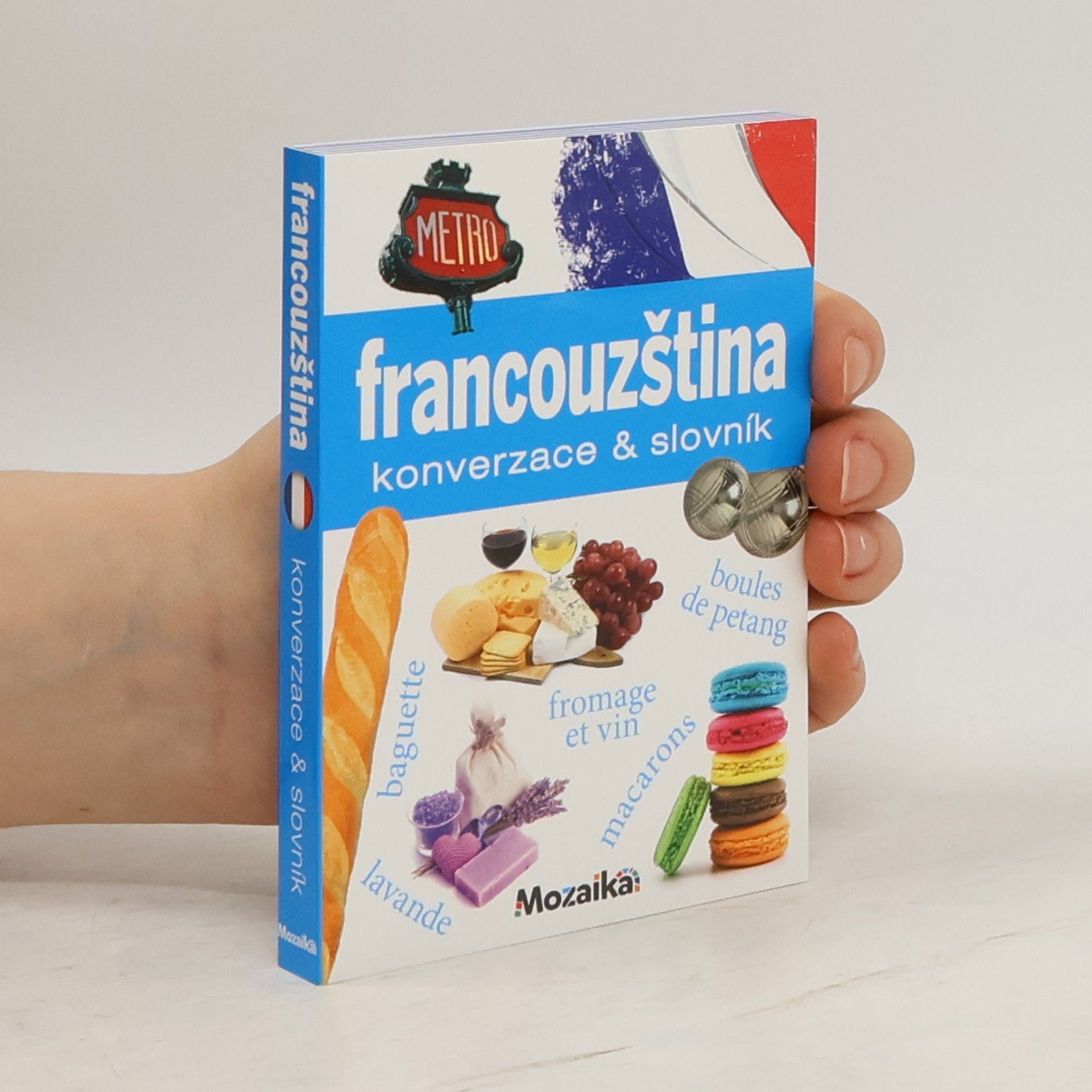 Collective Francouzština : konverzace & slovník