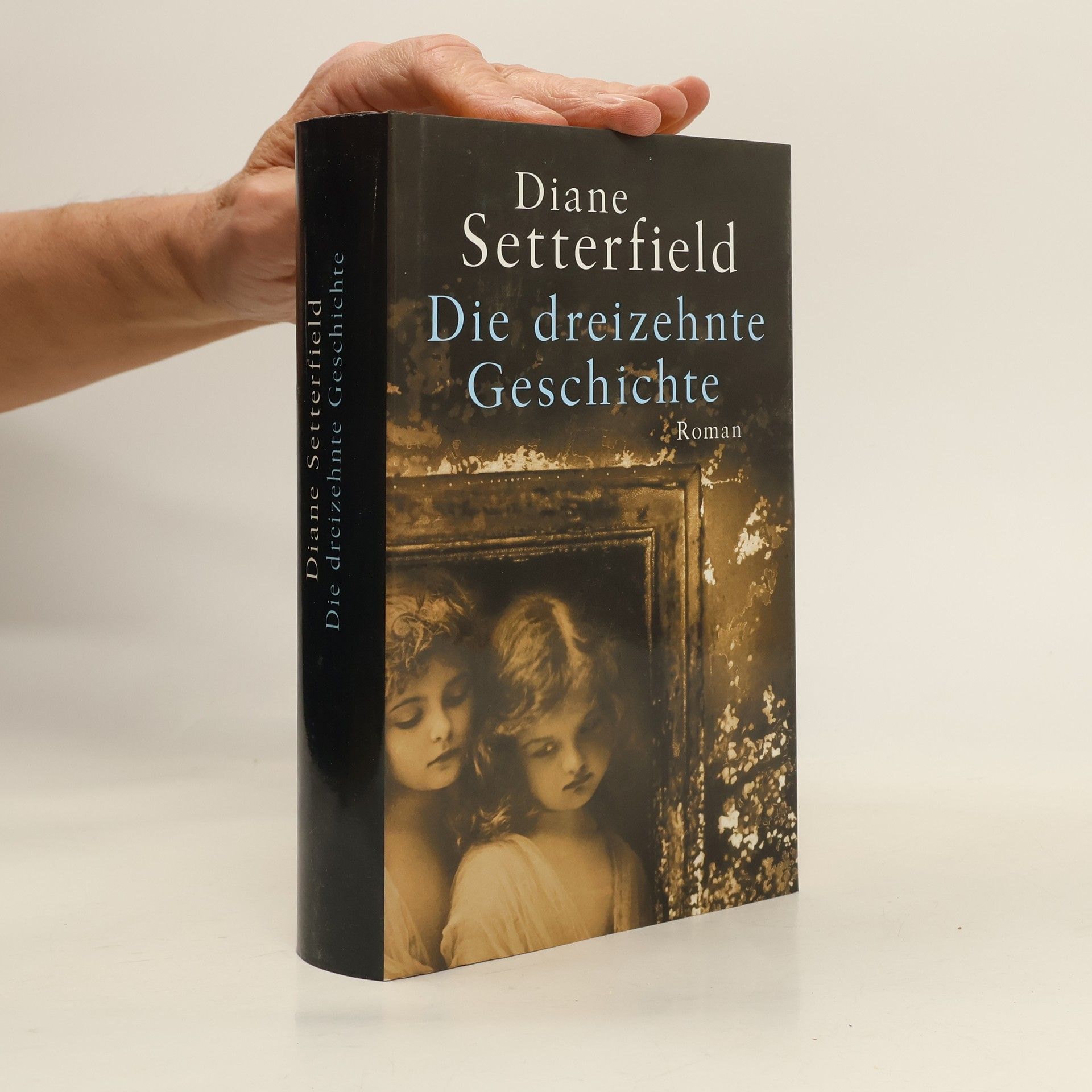 Diane Setterfield Die dreizehnte Geschichte