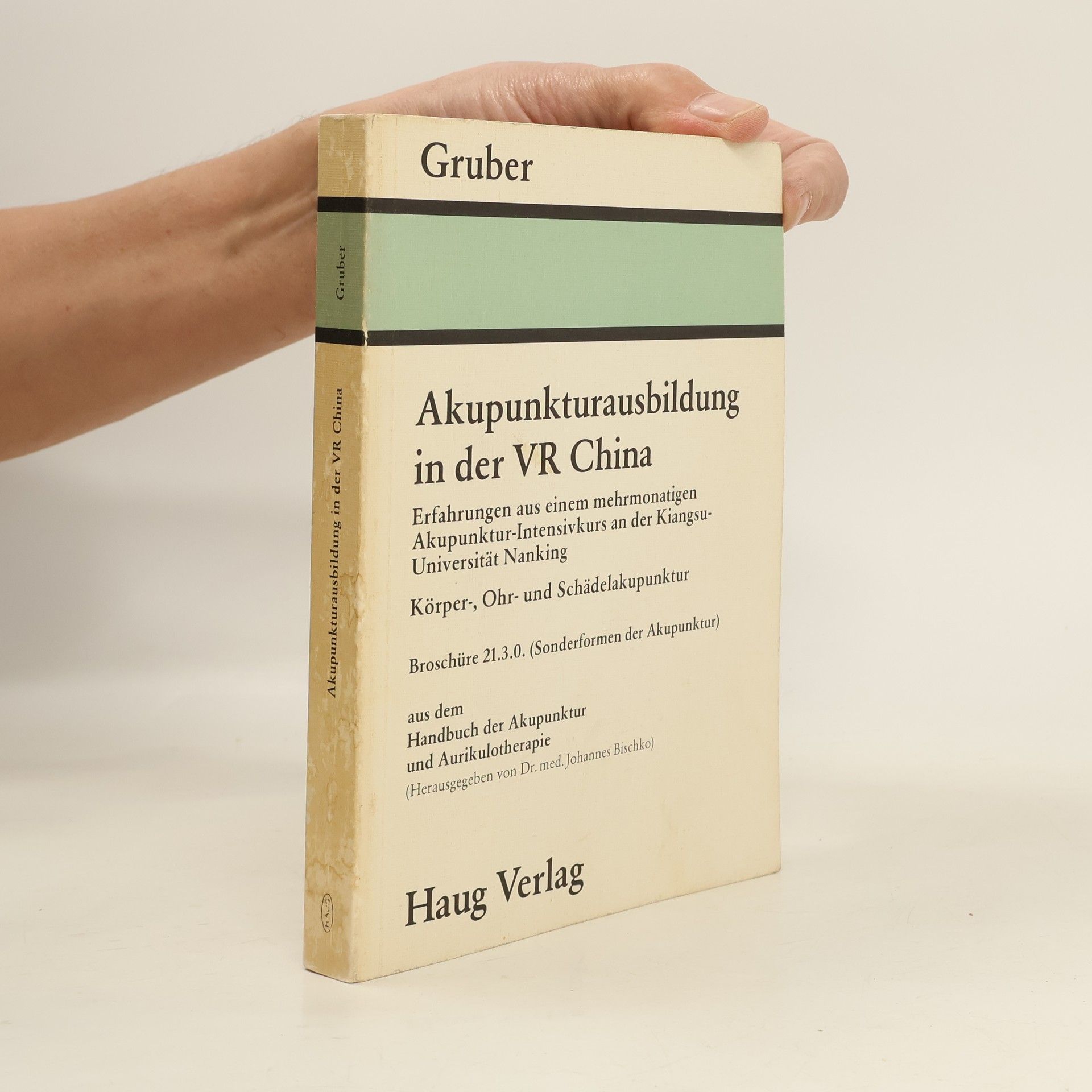 Johannes Bischko Die chinesische Intensiv- Akupunkturtherapie