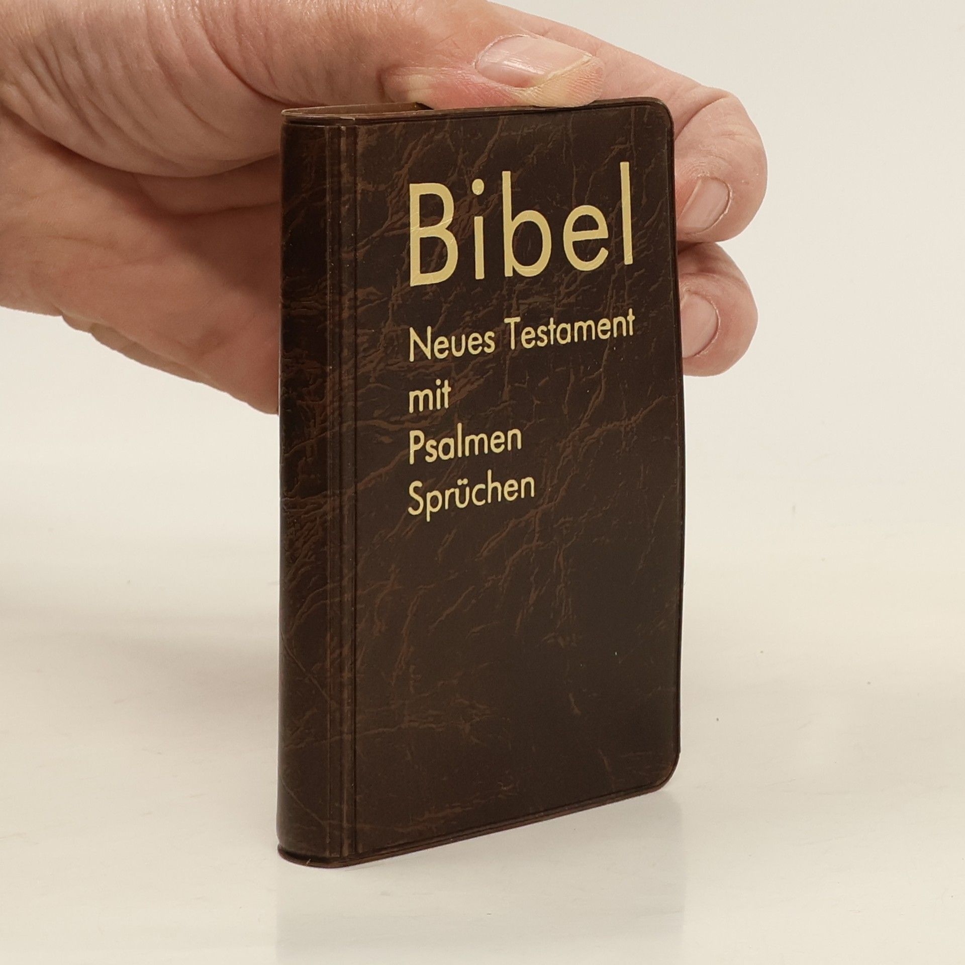 Autorenkollektiv Bibel: Neues Testament mit Psalmen Sprüchen
