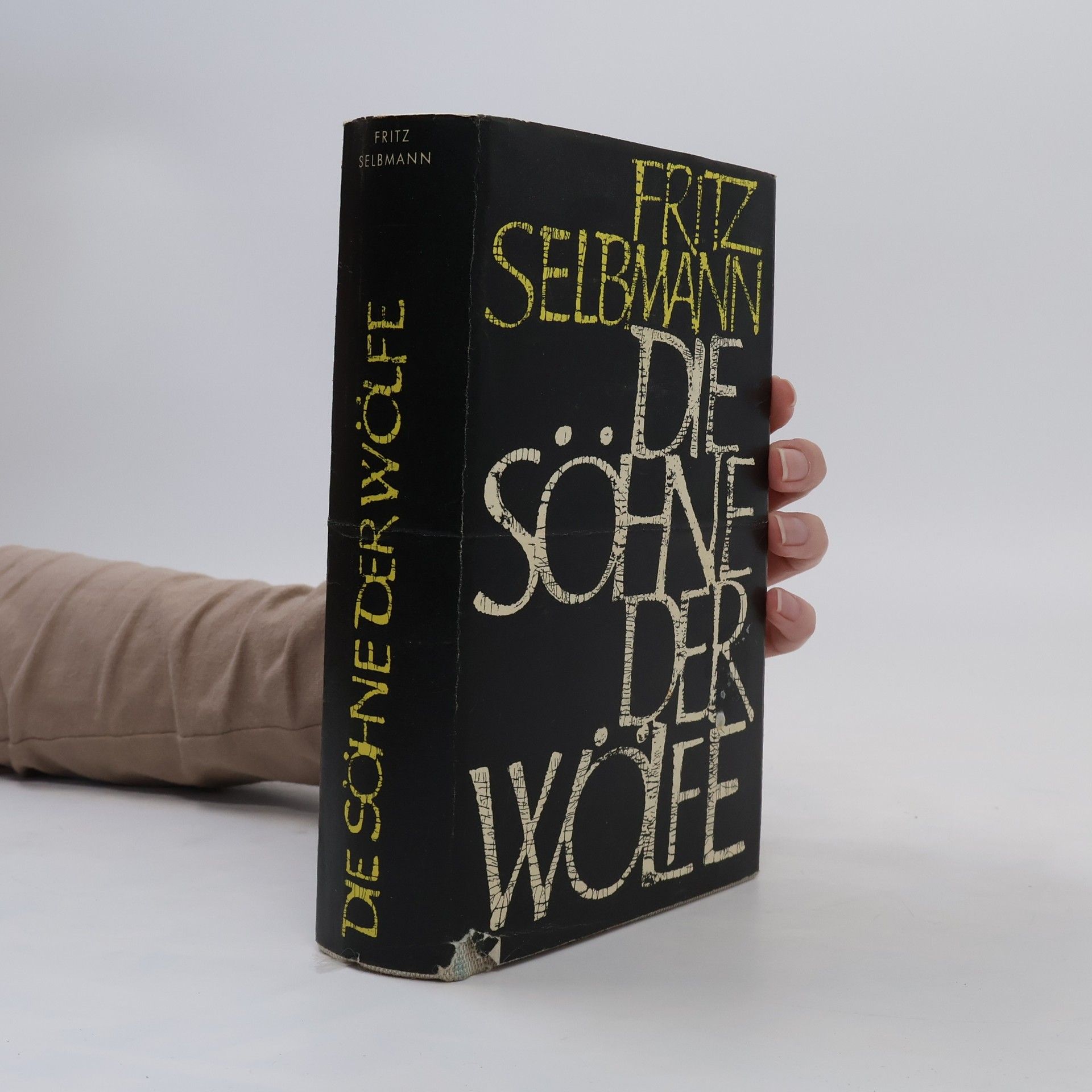 Fritz Selbmann Die Söhne der Wölfe