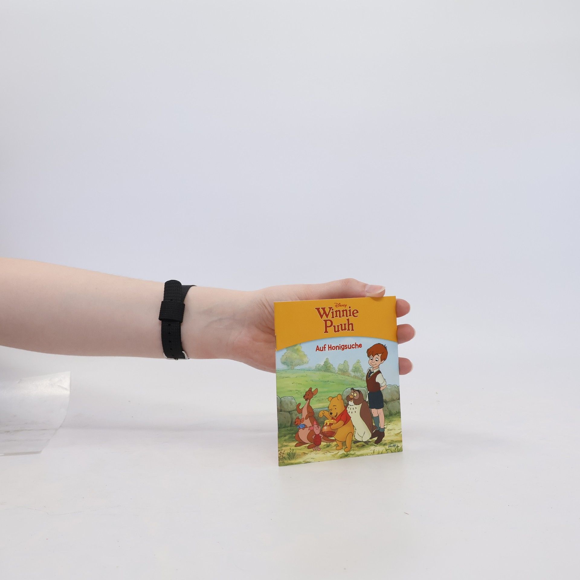 Collectif d'auteurs Winnie Puuh, Auf Honigsuche