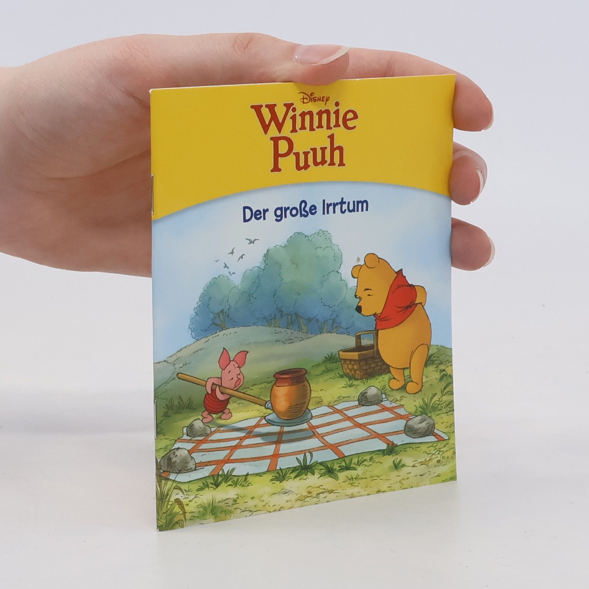 kolektiv Winnie Puuh. Der große Irrtum