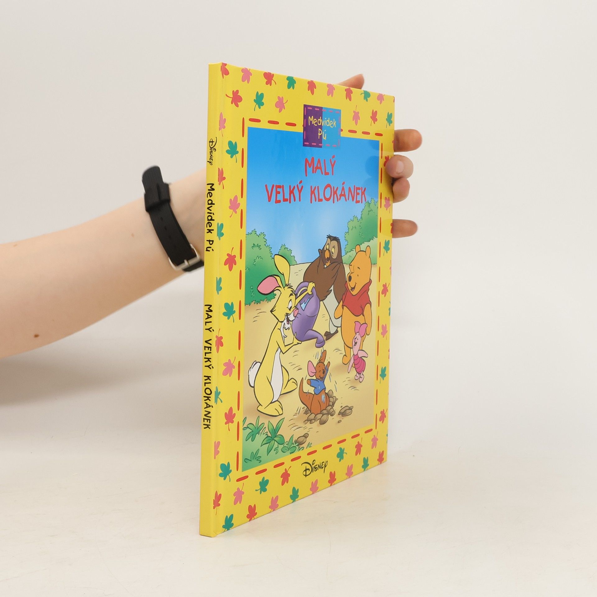 Walt Disney Medvídek Pú - Malý velký klokánek
