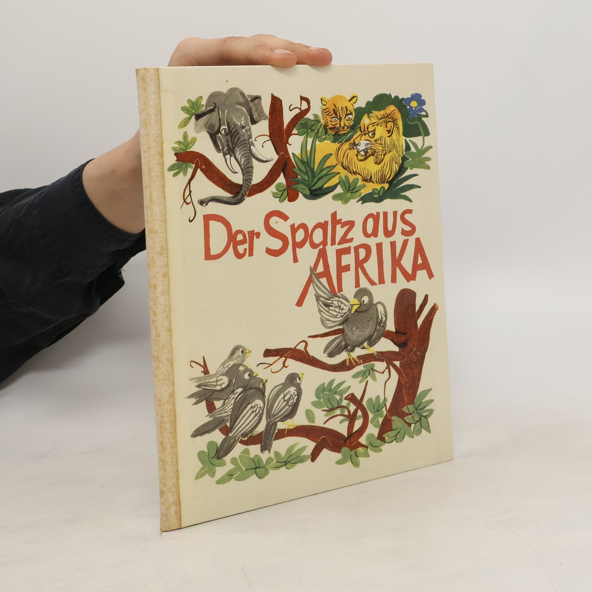Nils Werner Der Spatz aus Afrika