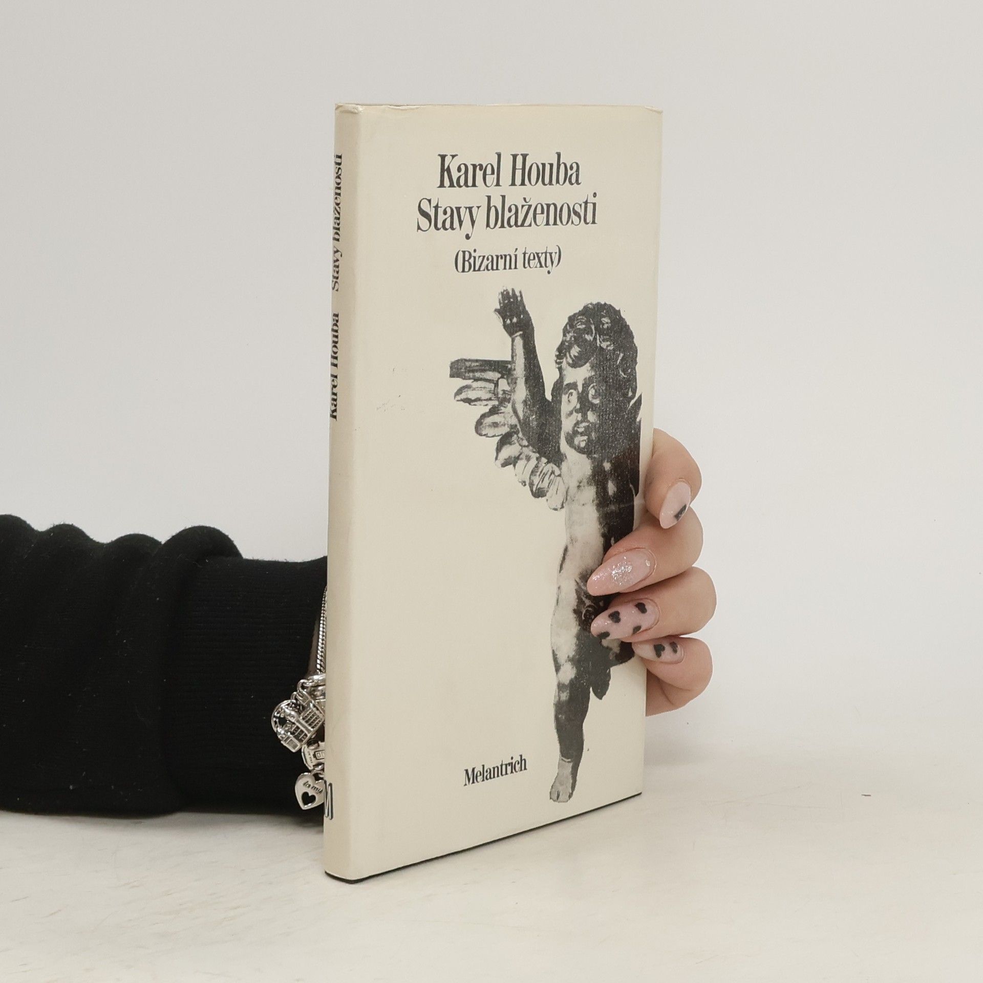 Karel Holub Stavy blaženosti