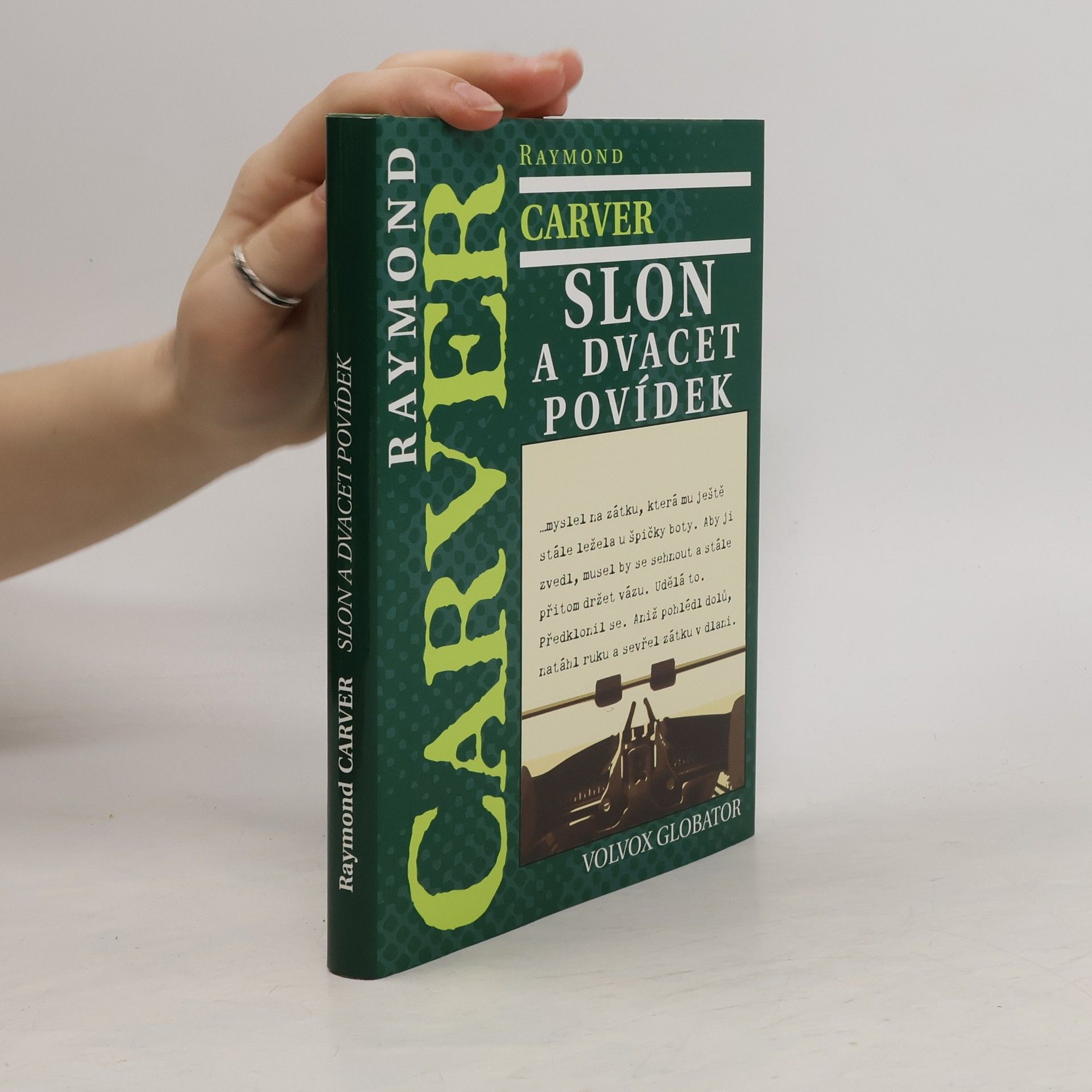 Raymond Carver Slon a dvacet povídek
