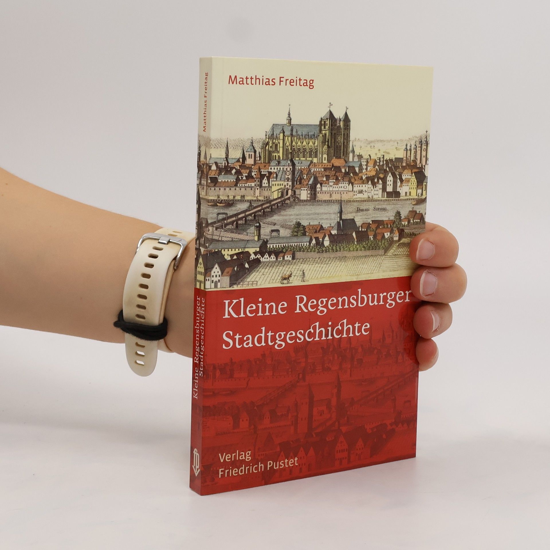 Matthias Freitag Kleine Regensburger Stadtgeschichte