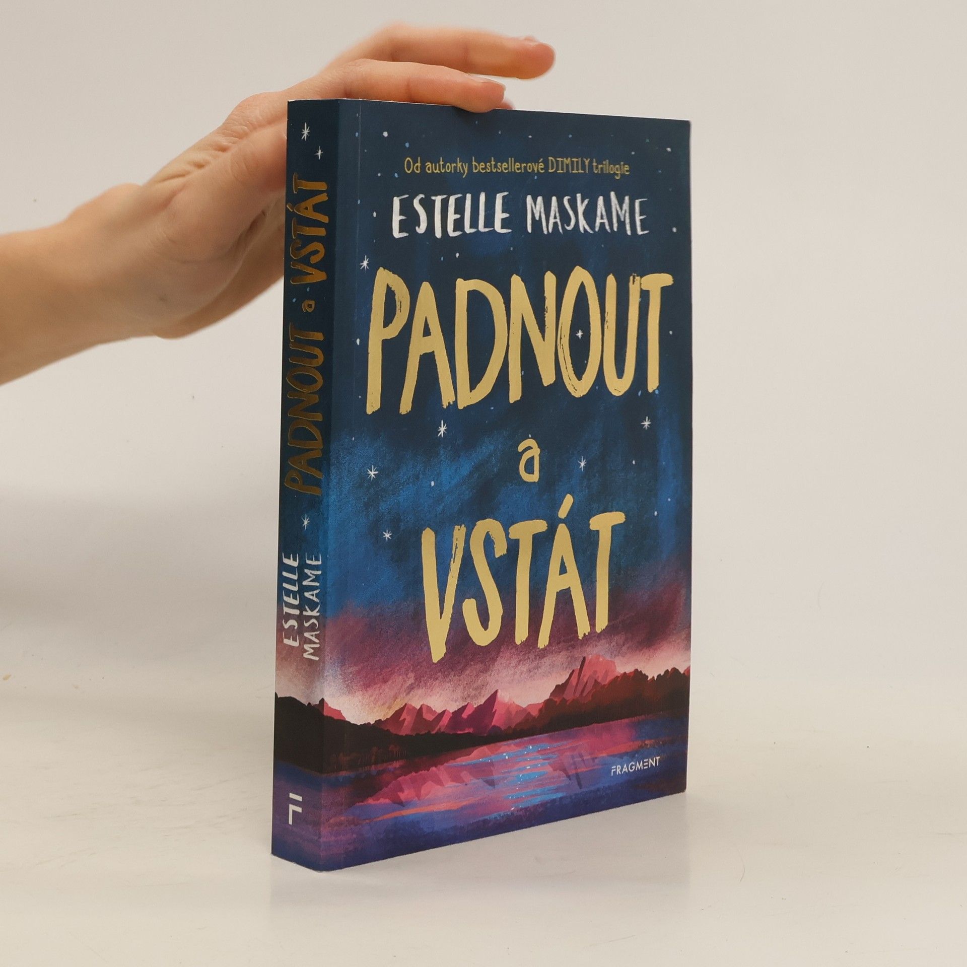 Estelle Maskame Padnout a vstát