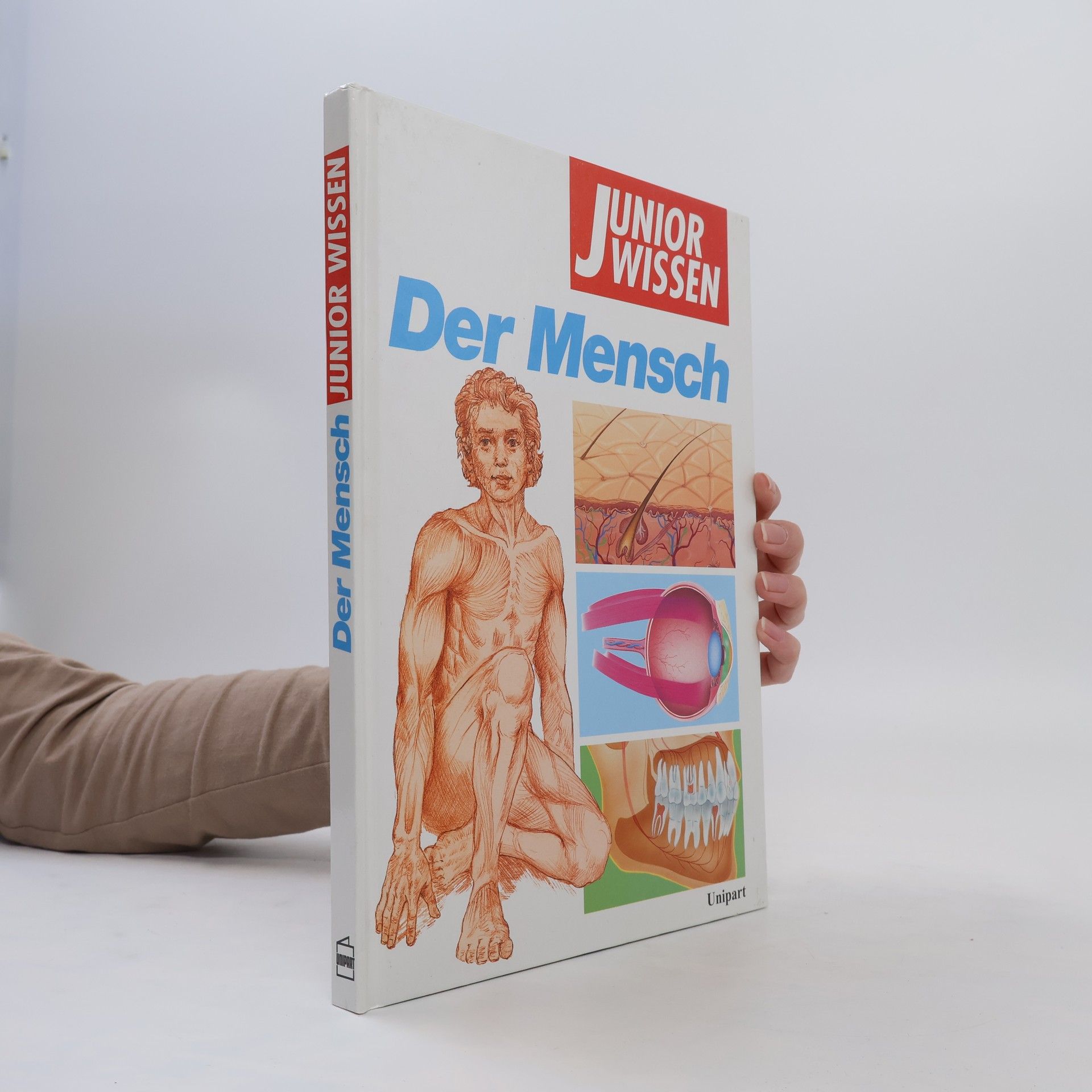 Susanne Ahrndt Der Mensch