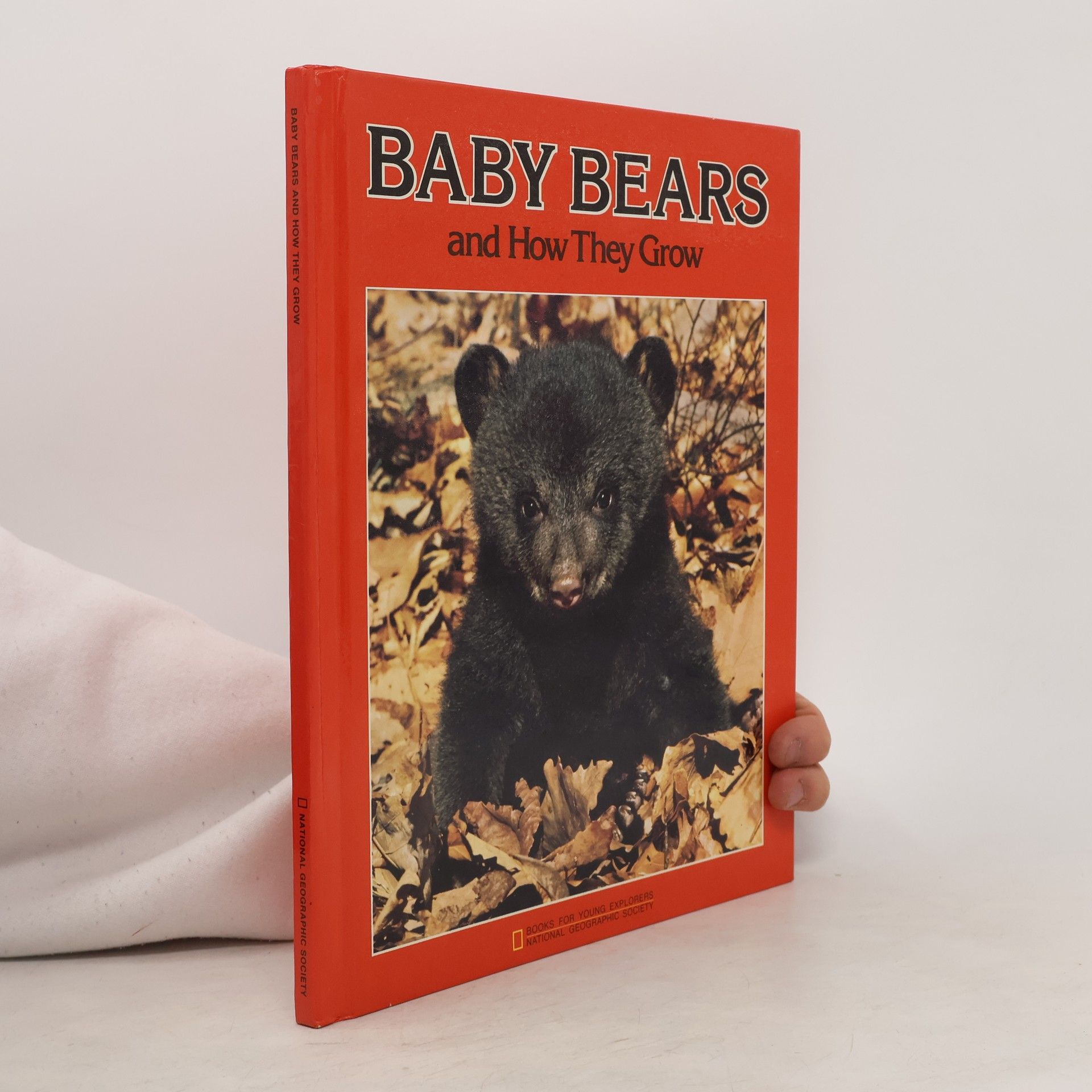 Jane Heath Buxton Baby Bears and How They Grow