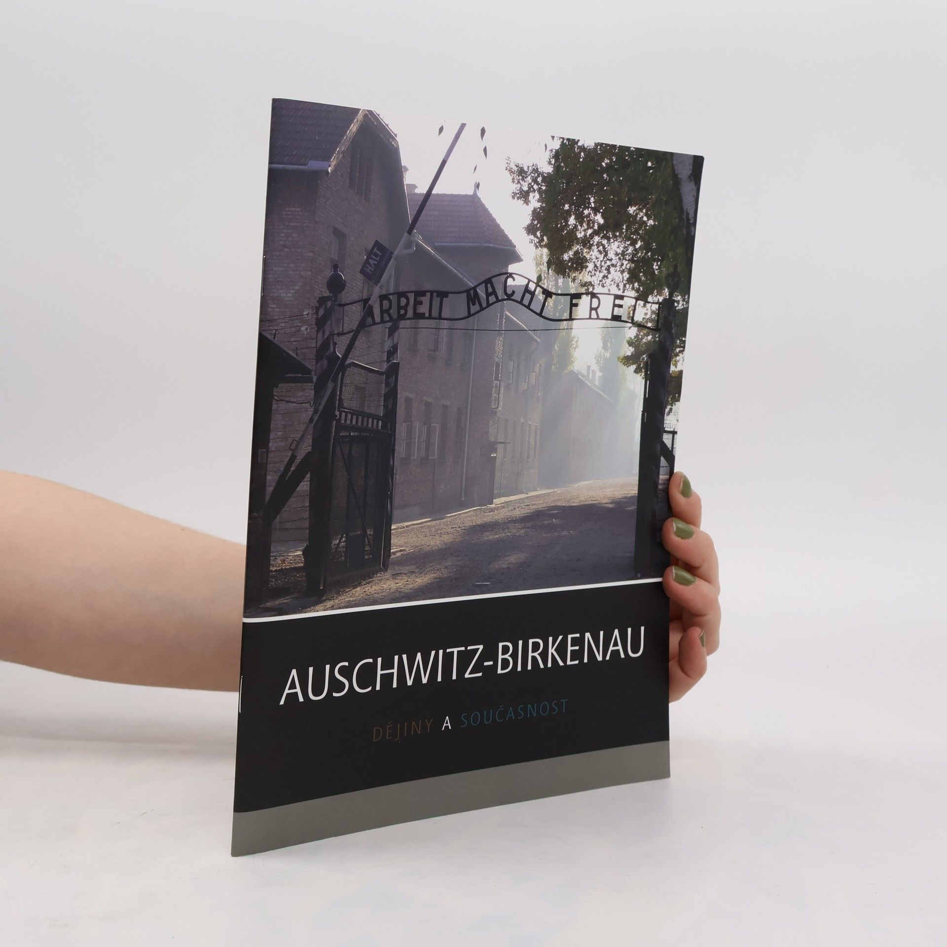 Kolektiv autorů Auschwitz - Birkenau Dějiny a současnost