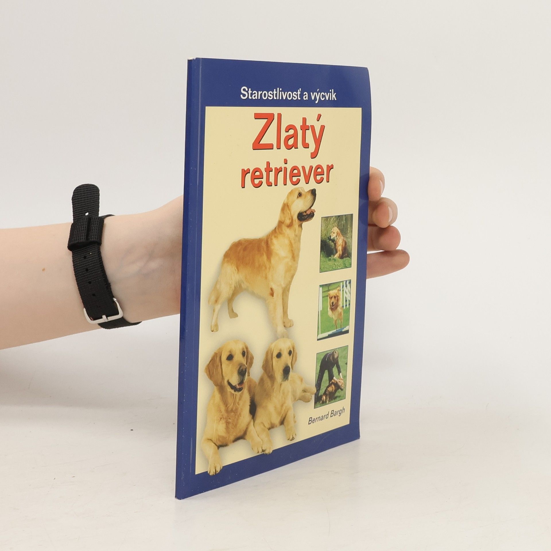 Bernard Bargh Zlatý retriever
