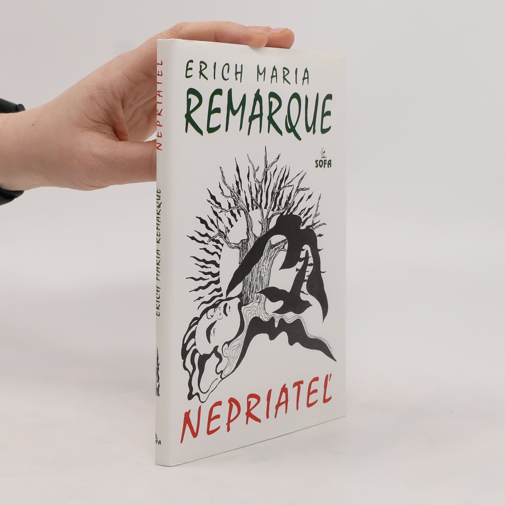Erich Maria Remarque Nepriateľ