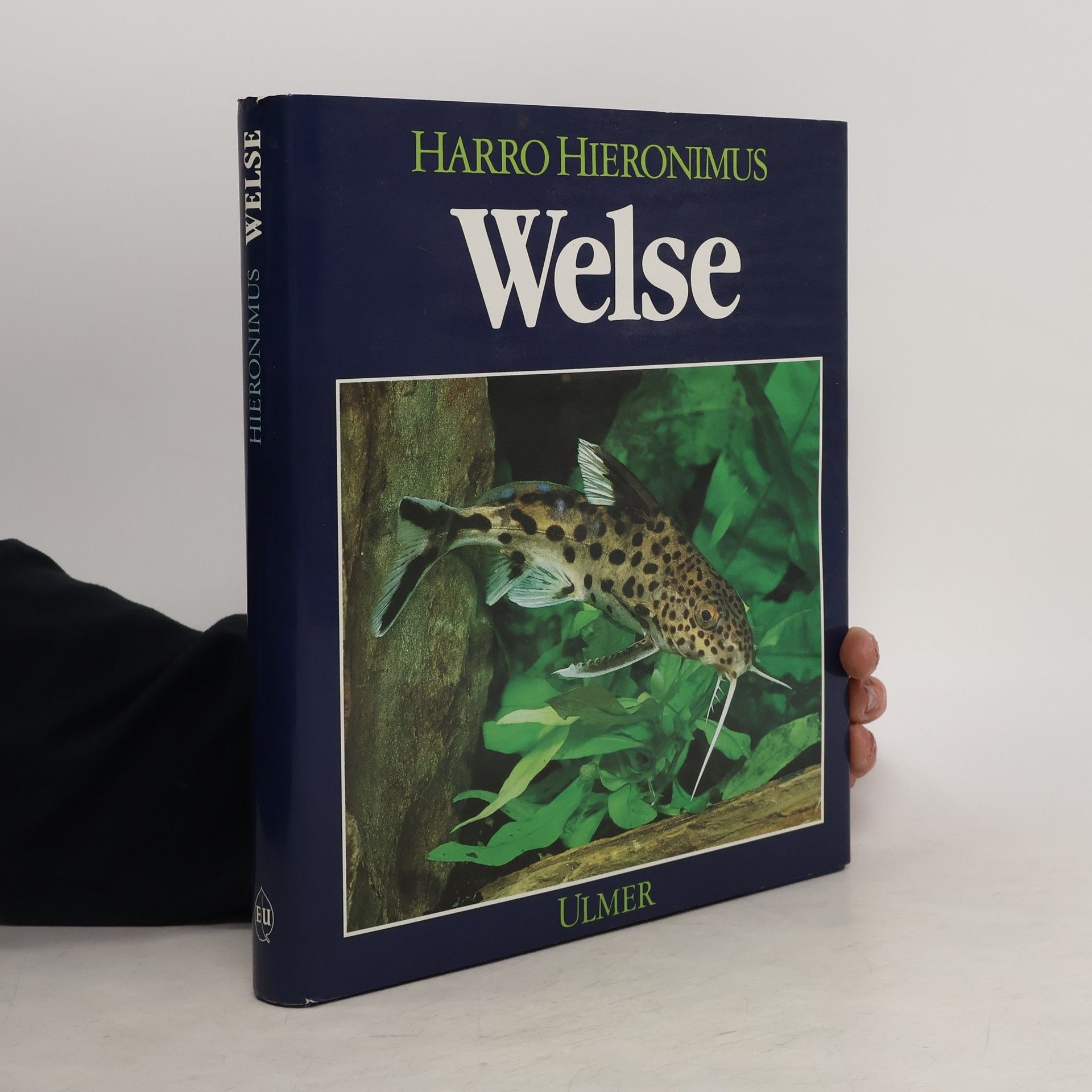 Harro Hieronimus Welse