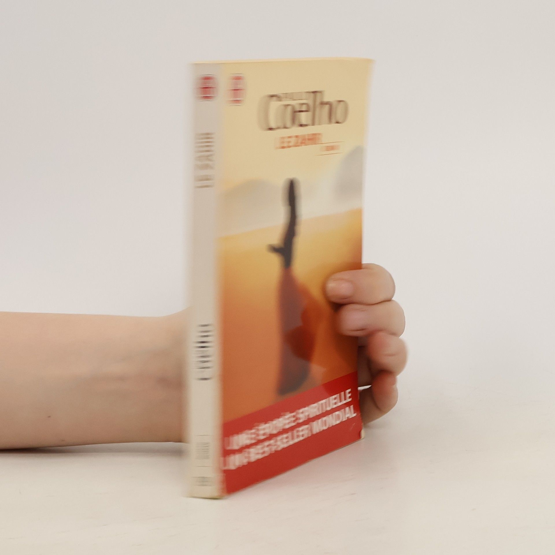 Paulo Coelho Le Zahir