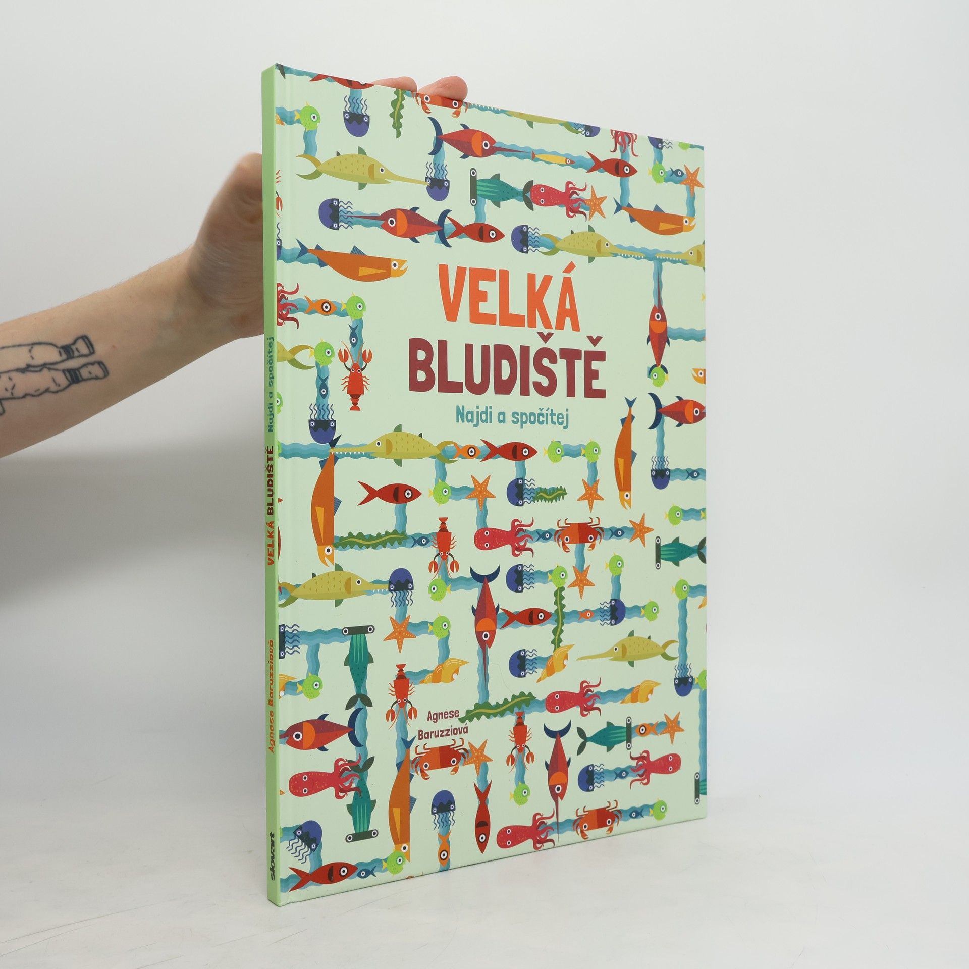 Agnese Baruzzi Velká bludiště - Najdi a spočítej