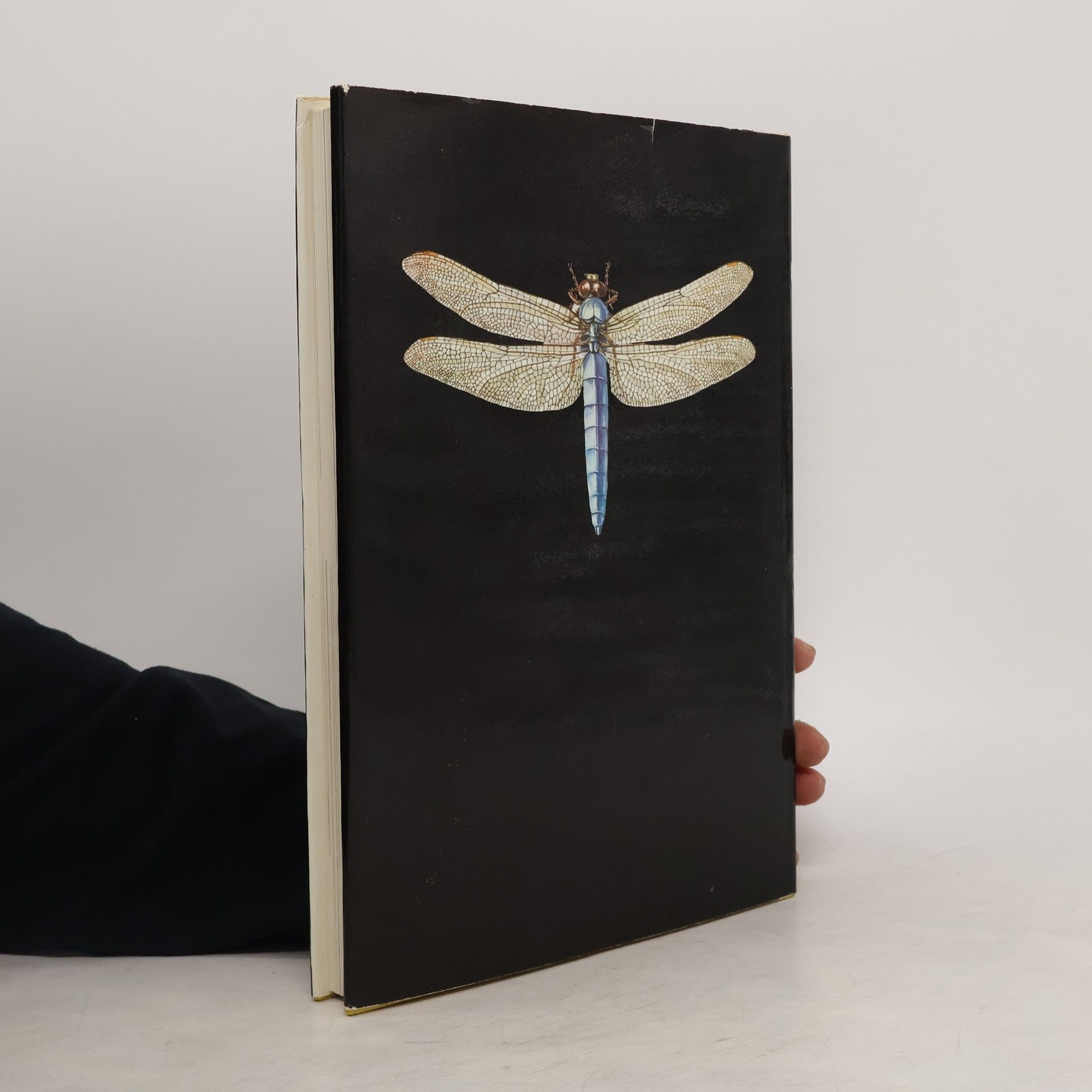 Ulrich Sedlag Wunderbare Welt der Insekten