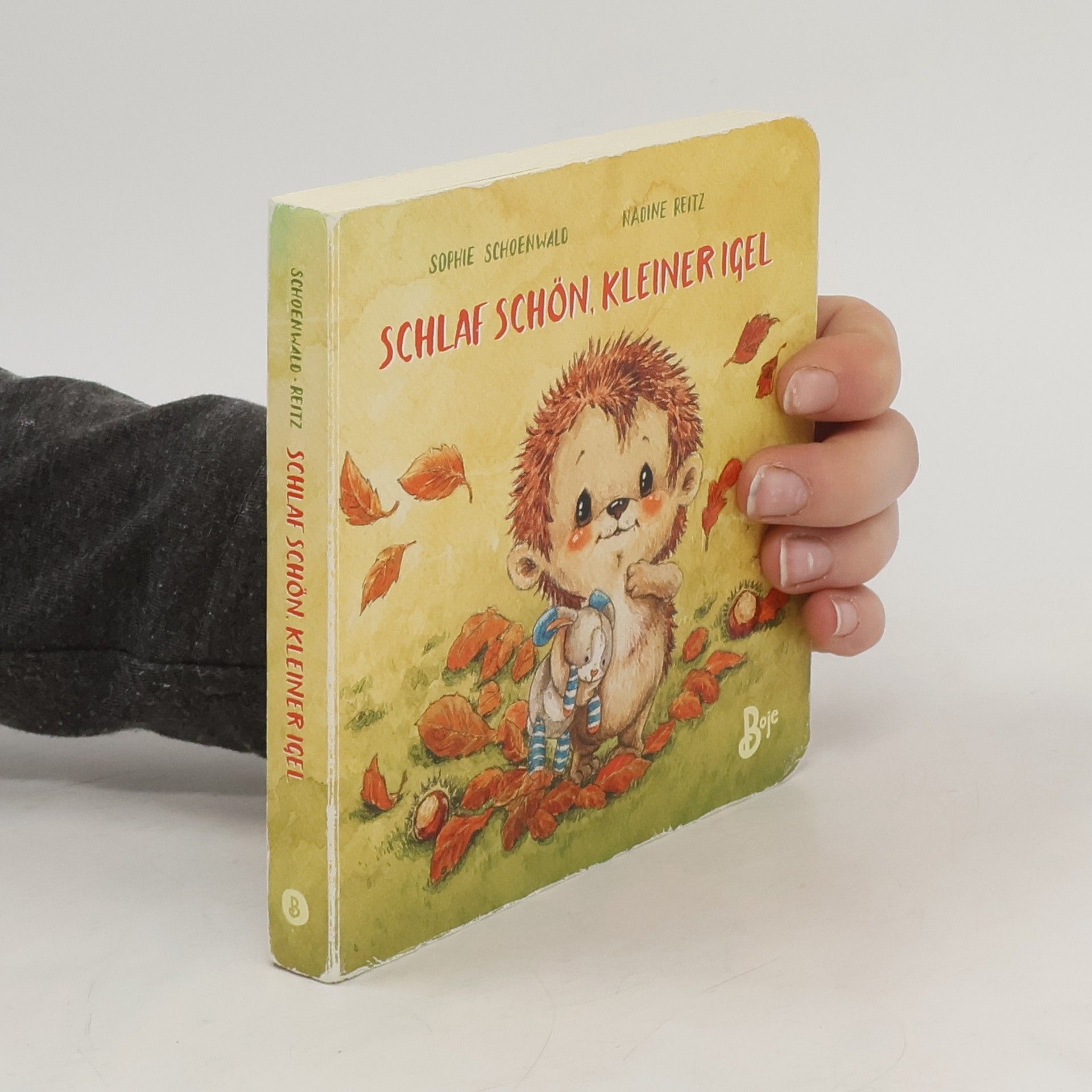 Sophie Schoenwaldová  Schlaf schön, kleiner Igel (Mini-Ausgabe)