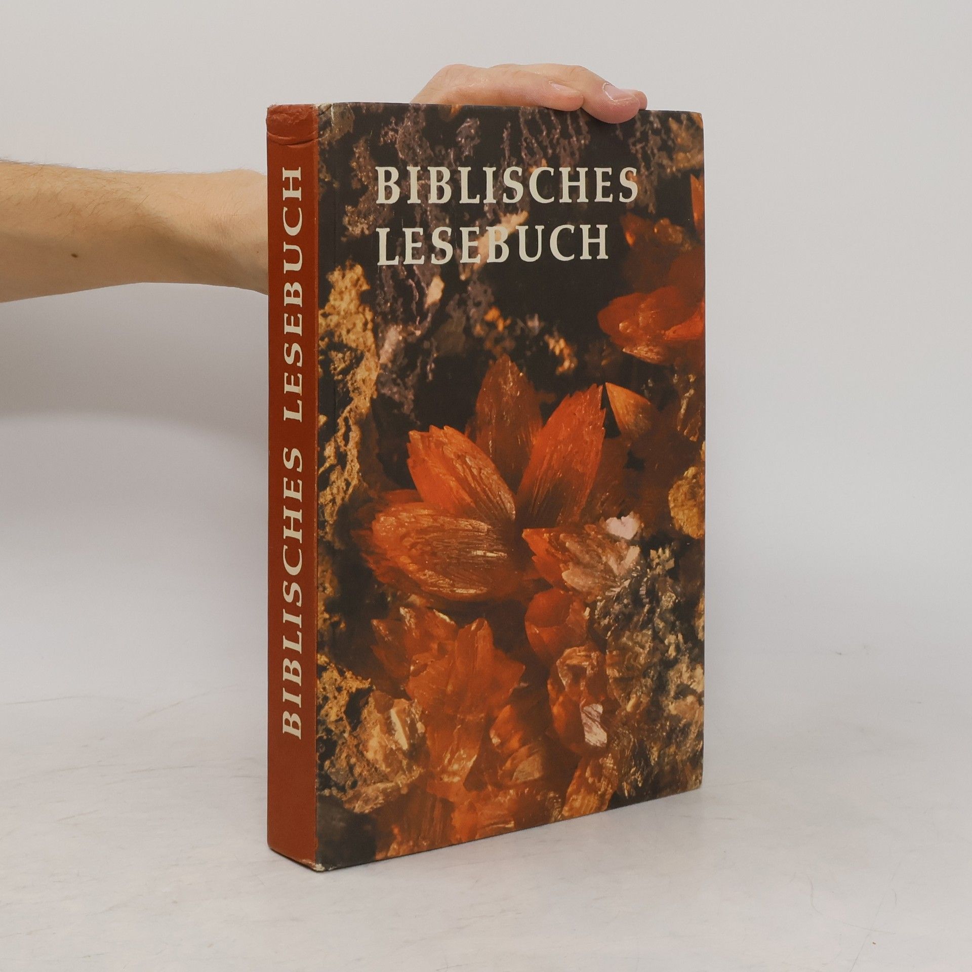 kolektiv Biblisches Lesebuch
