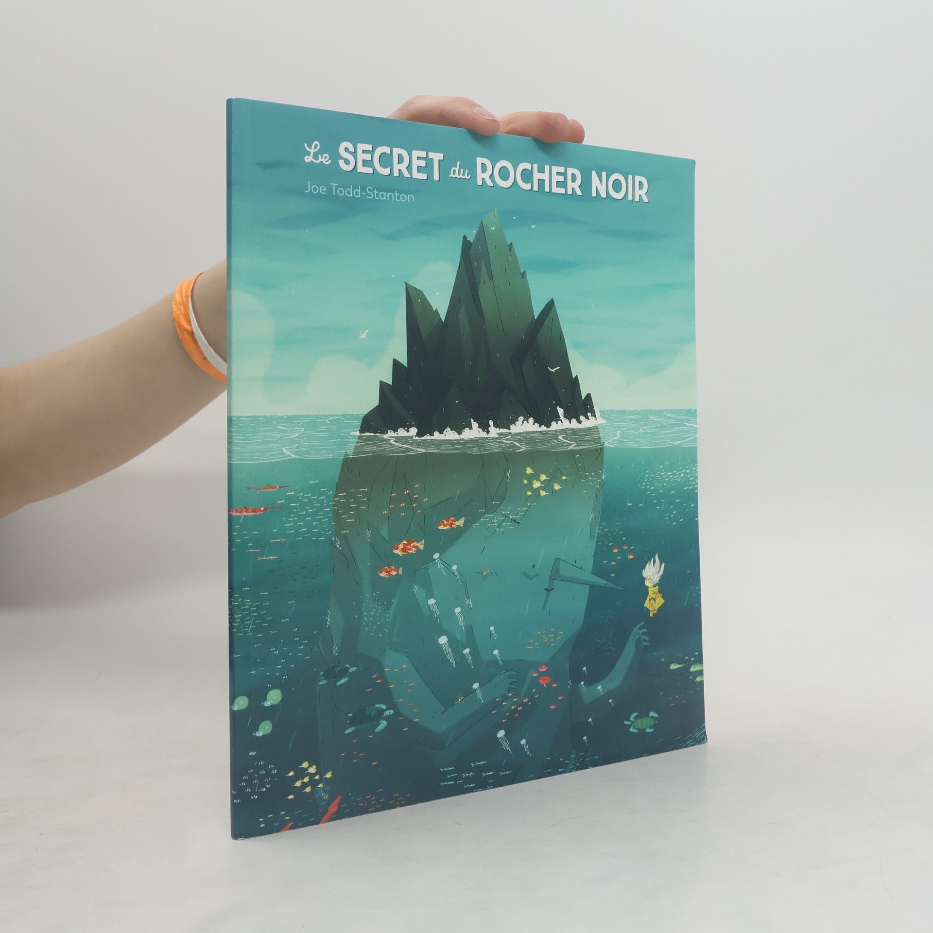 Joe Todd-Stanton Le secret du Rocher Noir