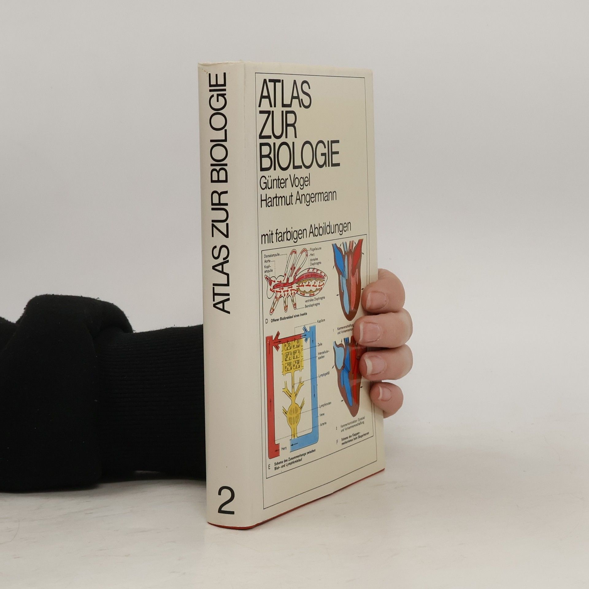 Günter Vogel Atlas zur Biologie 2