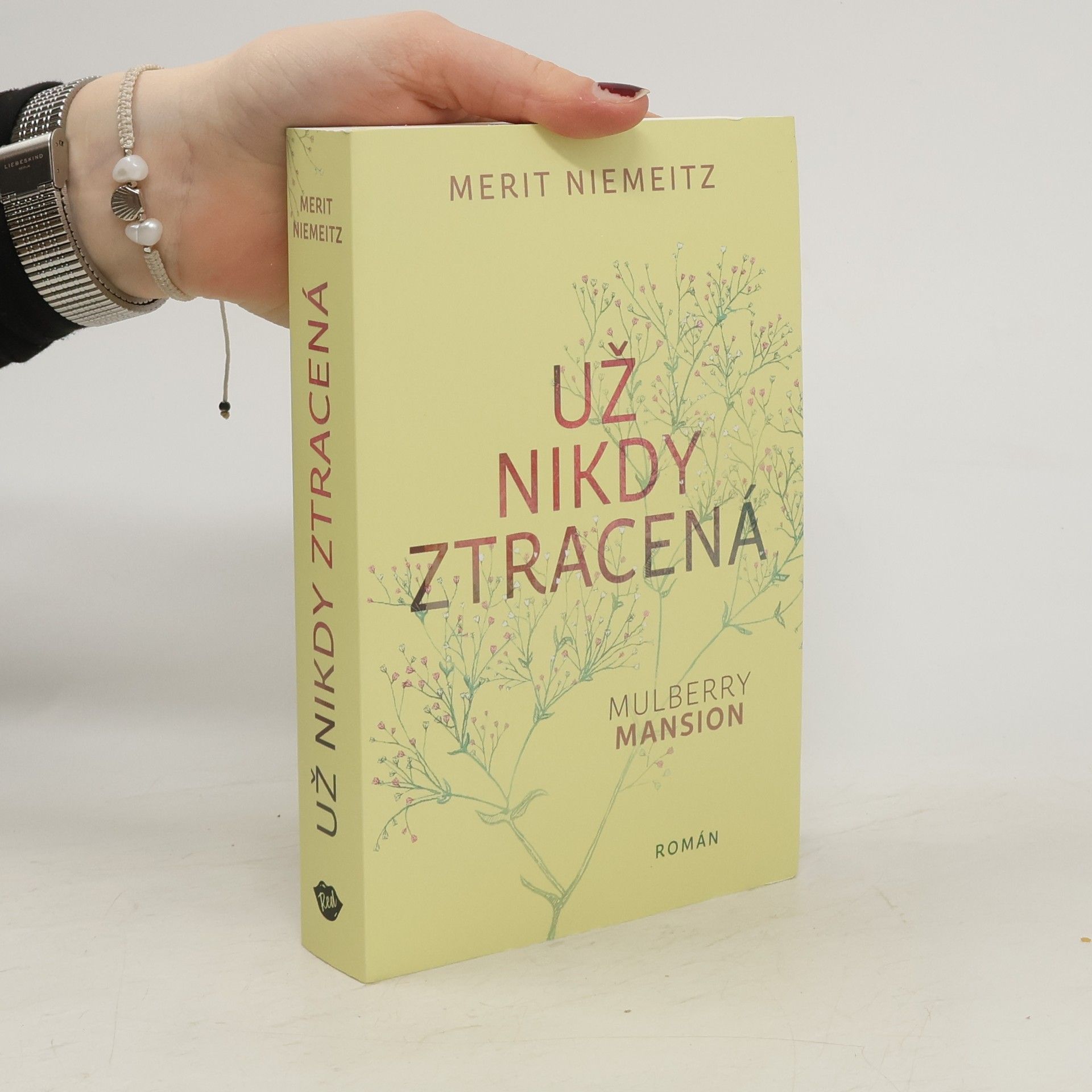 Merit Niemeitz Už nikdy ztracená