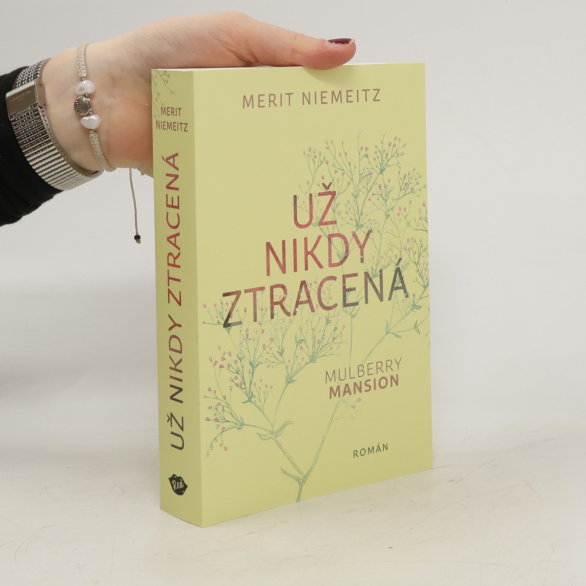 Merit Niemeitz Už nikdy ztracená