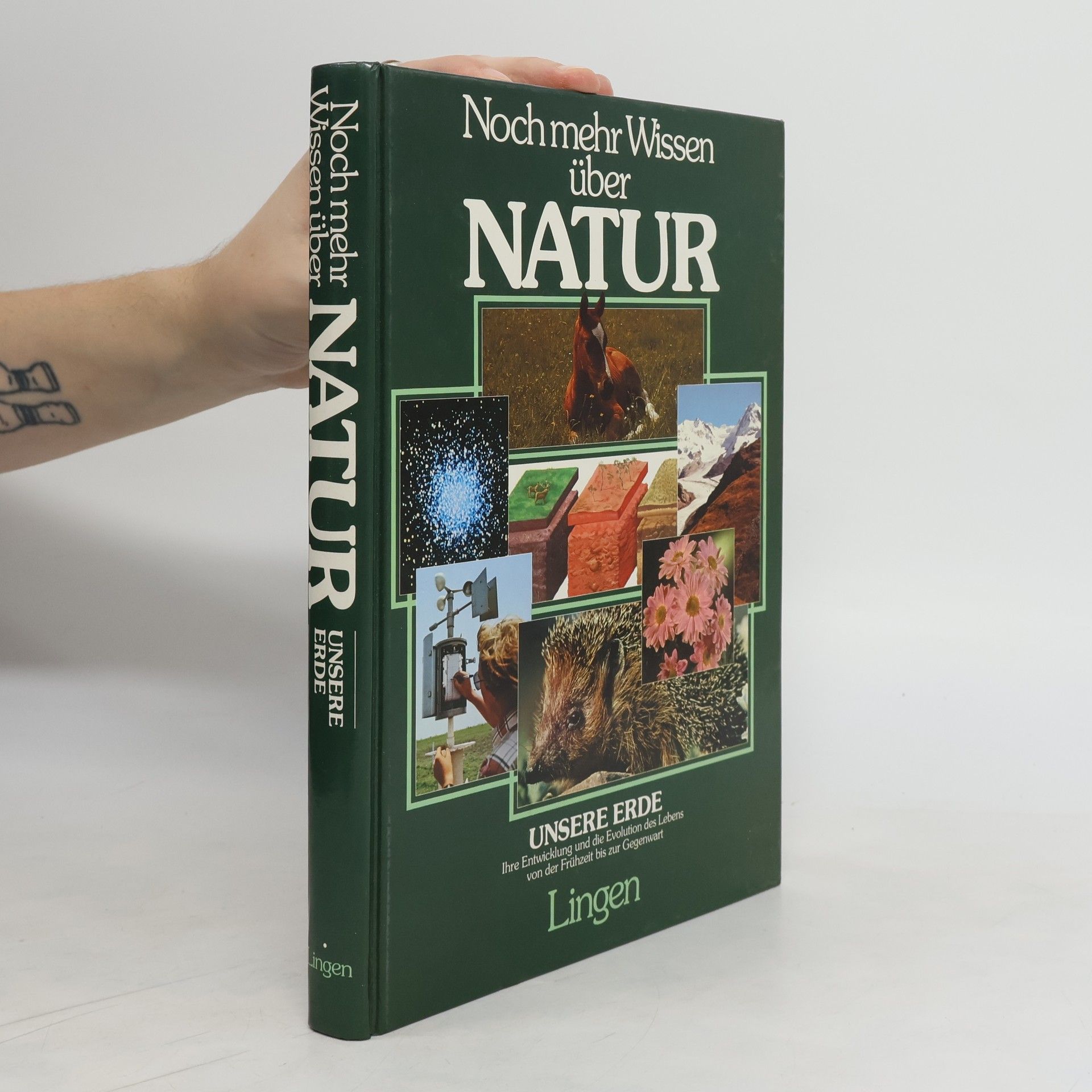 Collectif d'auteurs Noch mehr Wissen über Natur. Berge und Wälder