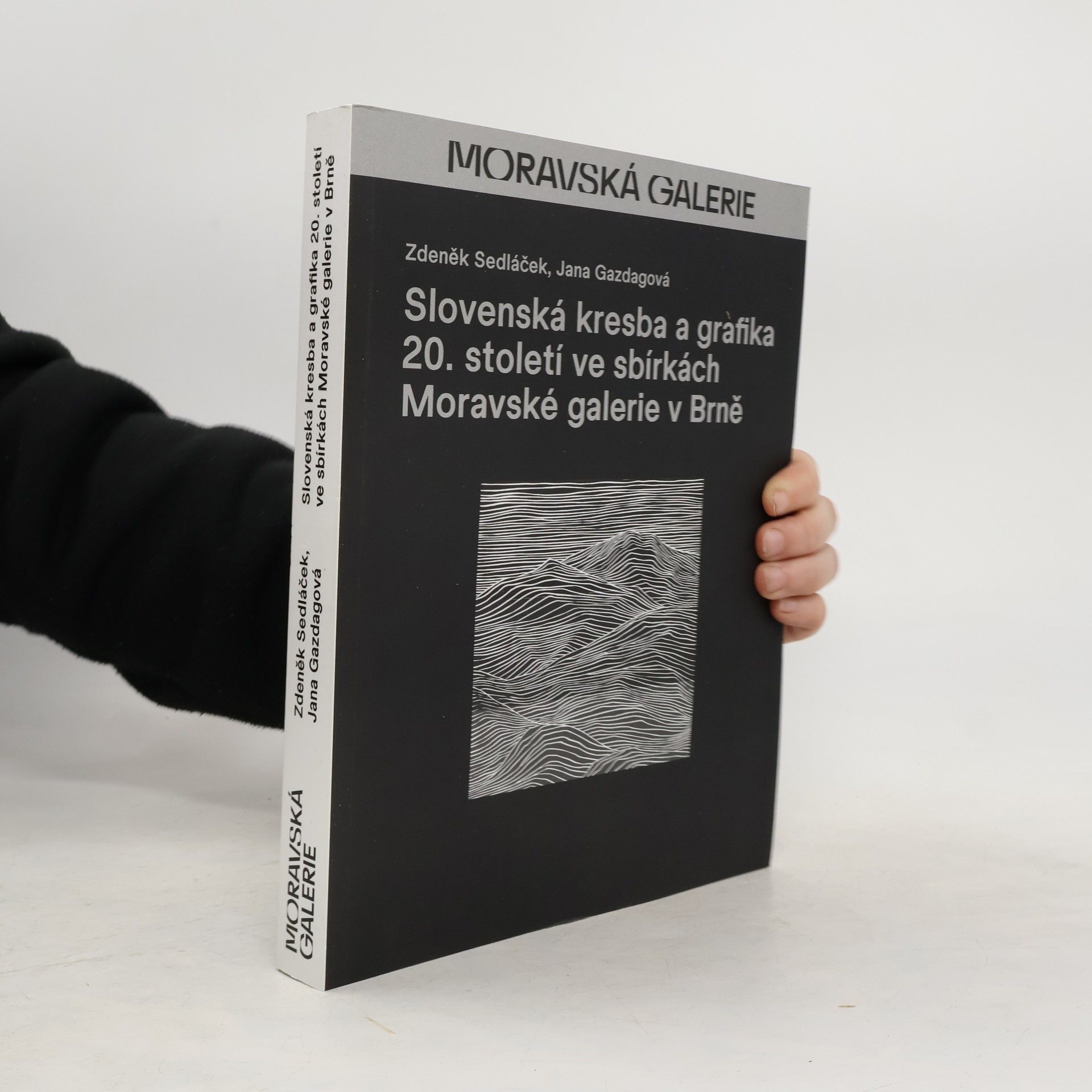 Zdeněk Sedláček Slovenská kresba a grafika 20. století ve sbírkách Moravské galerie v Brně