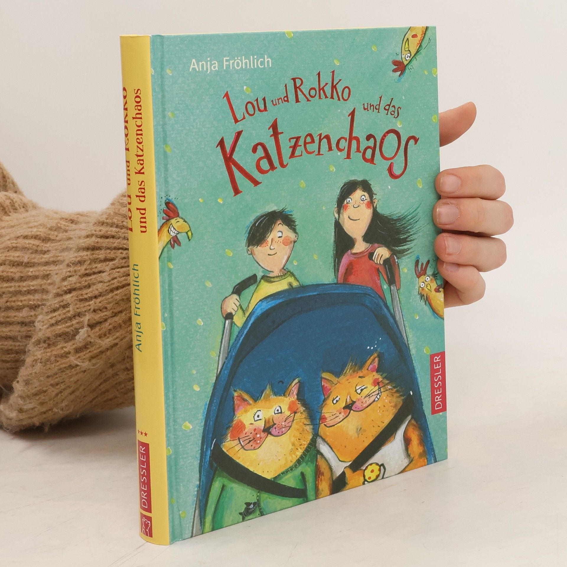 Anja Fröhlich Lou und Rokko und das Katzenchaos