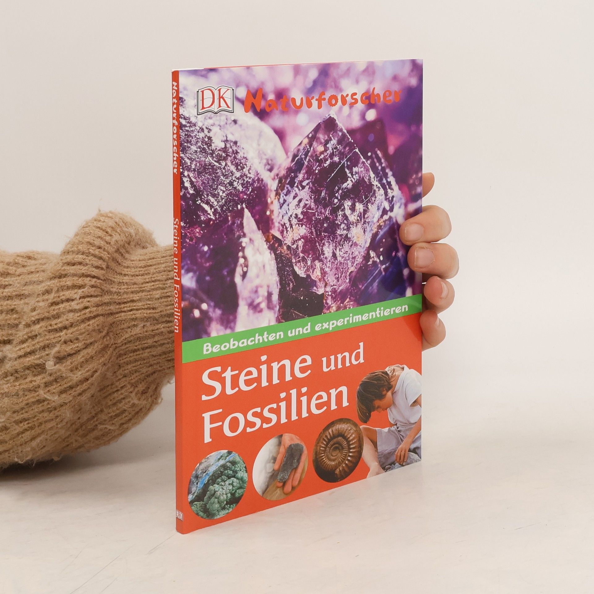 Autorenkollektiv Steine und Fossilien